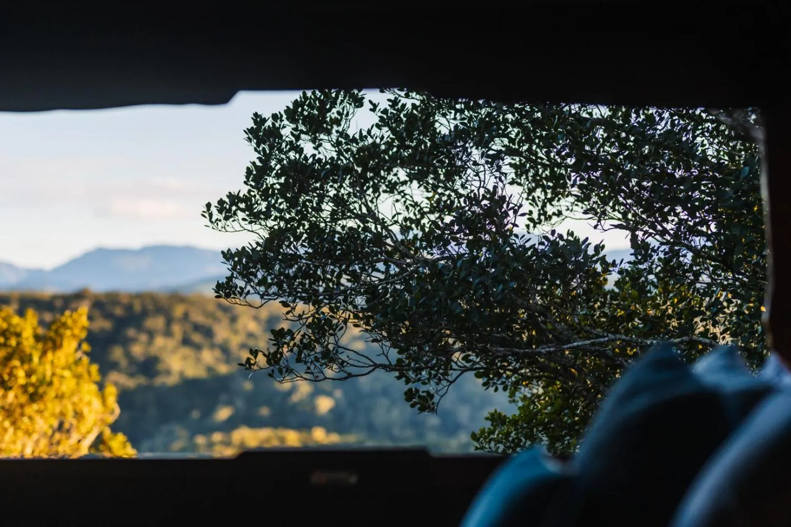 Natural landscape in Moonshine on Whiskey Creek