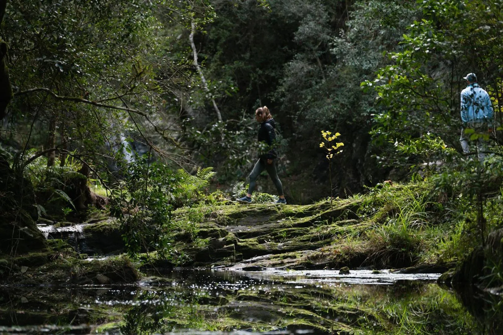 People in Moonshine on Whiskey Creek