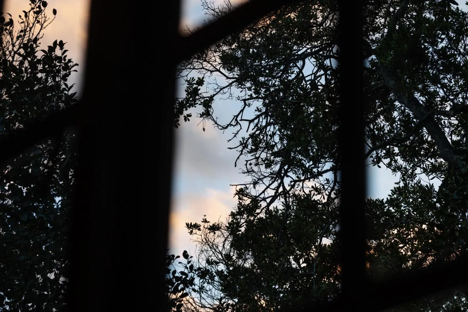Natural landscape in Moonshine on Whiskey Creek