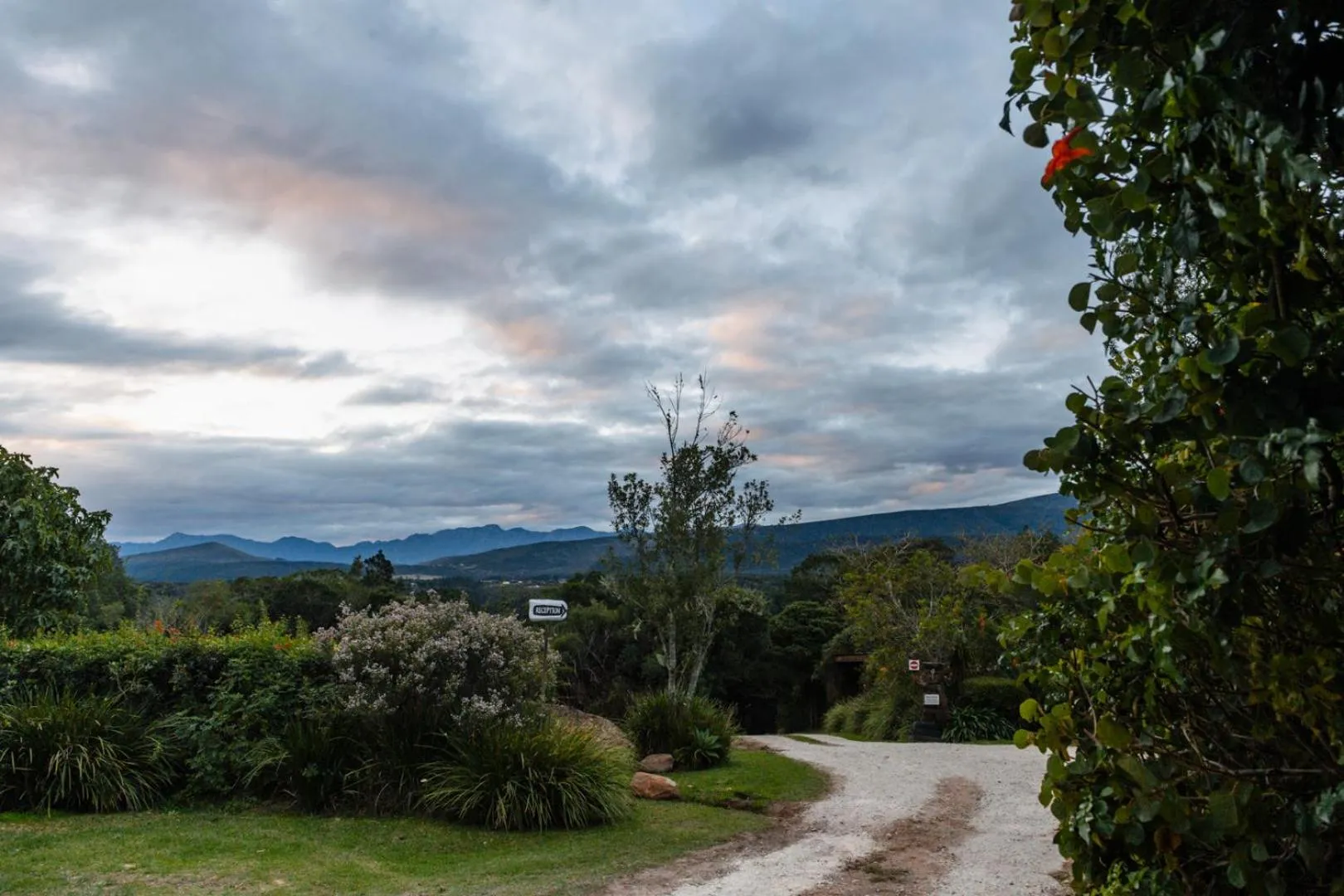 Natural landscape in Moonshine on Whiskey Creek