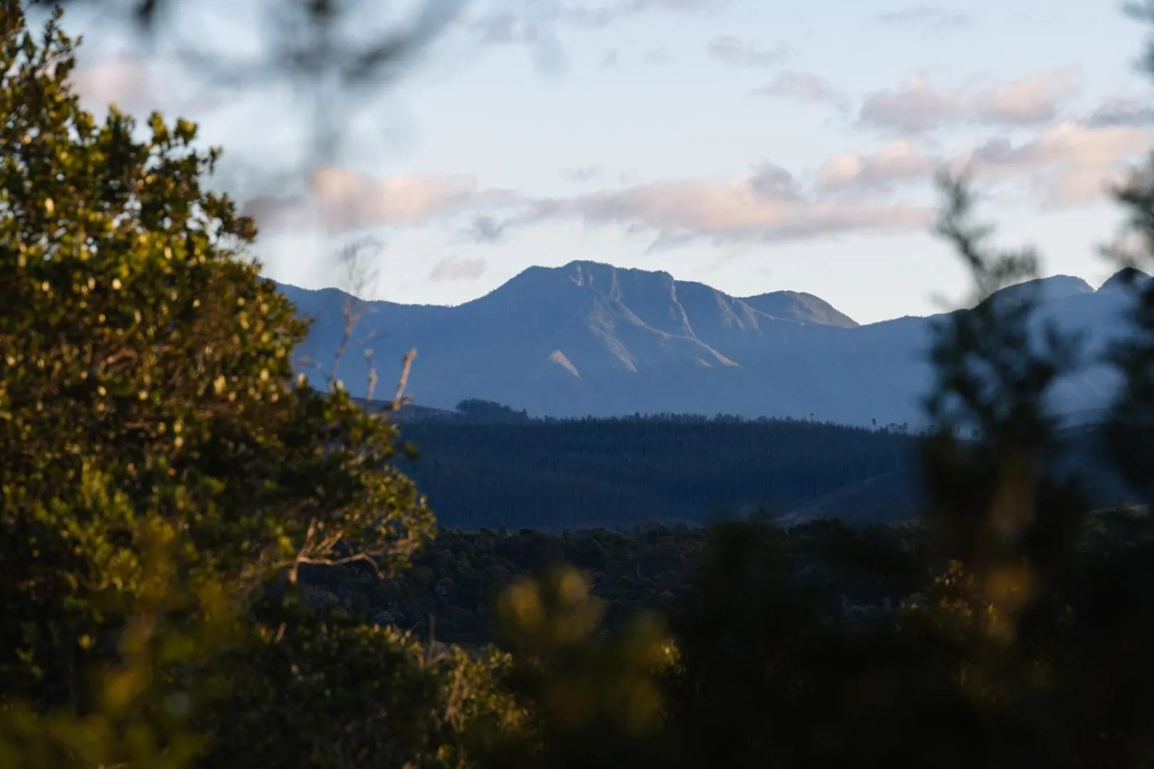 Natural landscape in Moonshine on Whiskey Creek