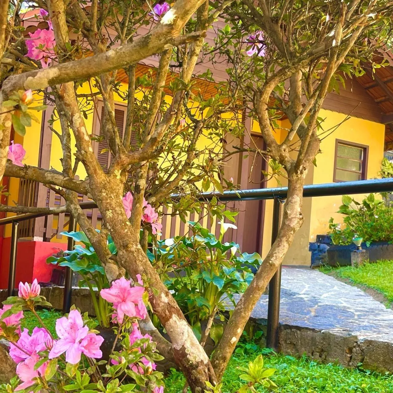 Garden view in Pousada Águas Claras