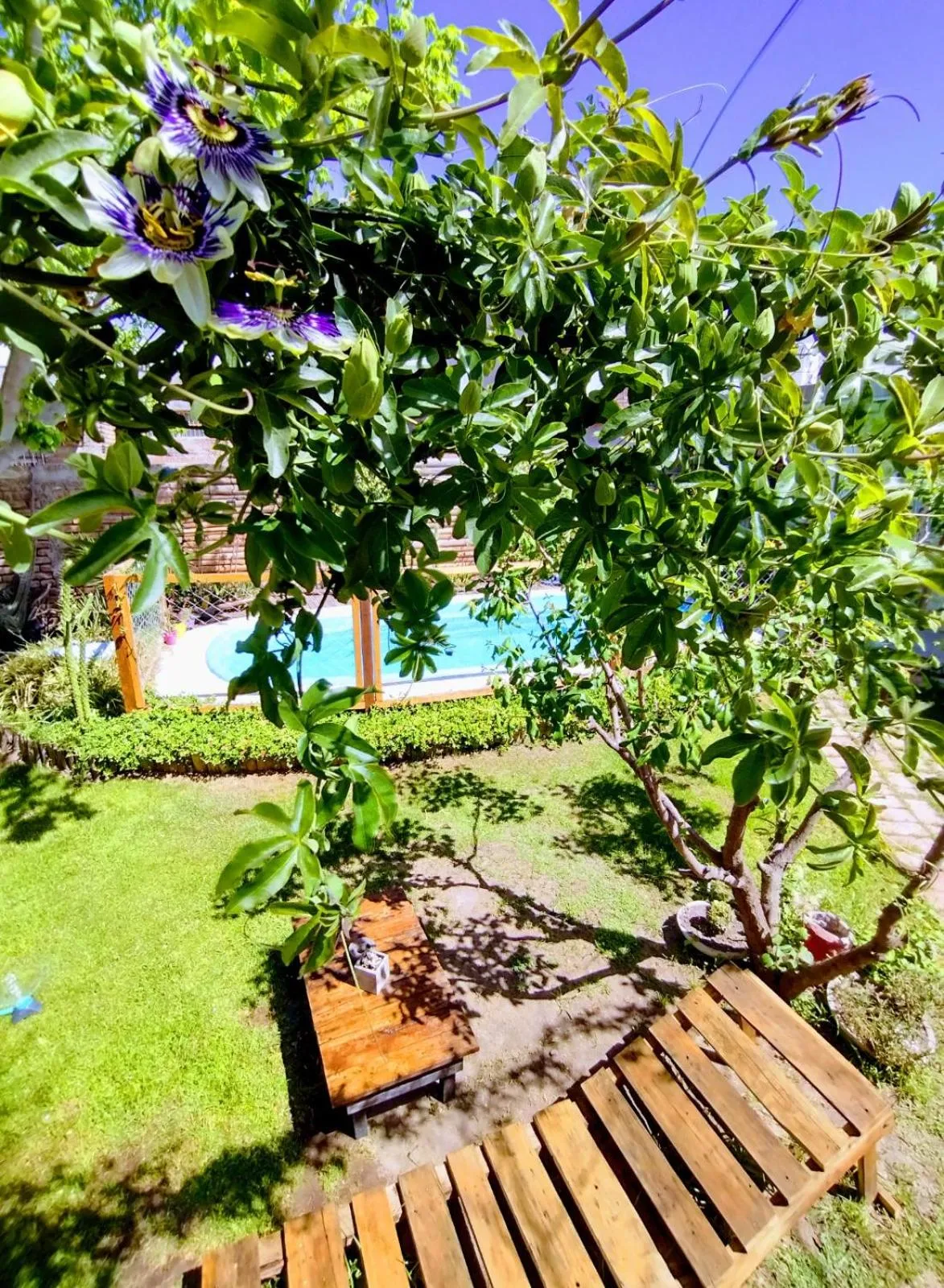 Garden in Amukan Guest House