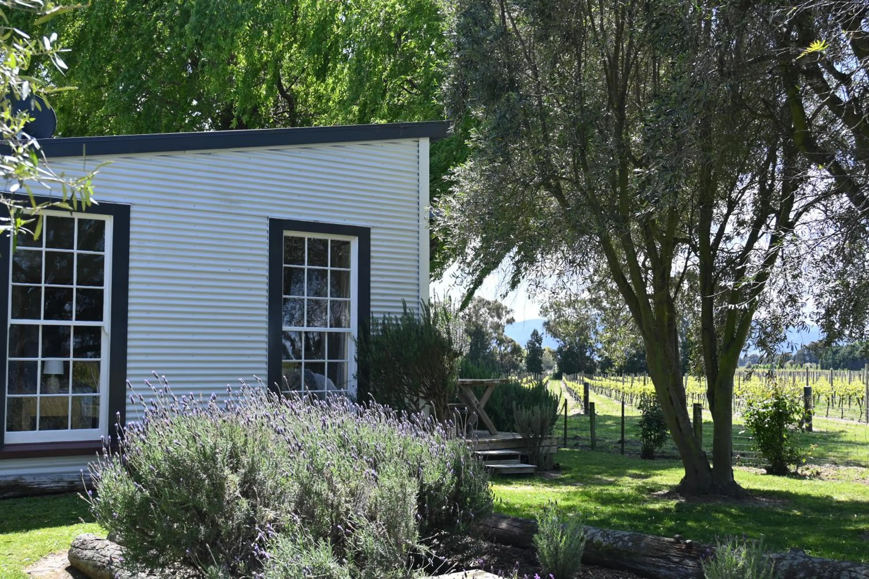Property building in St Leonards Vineyard Cottages