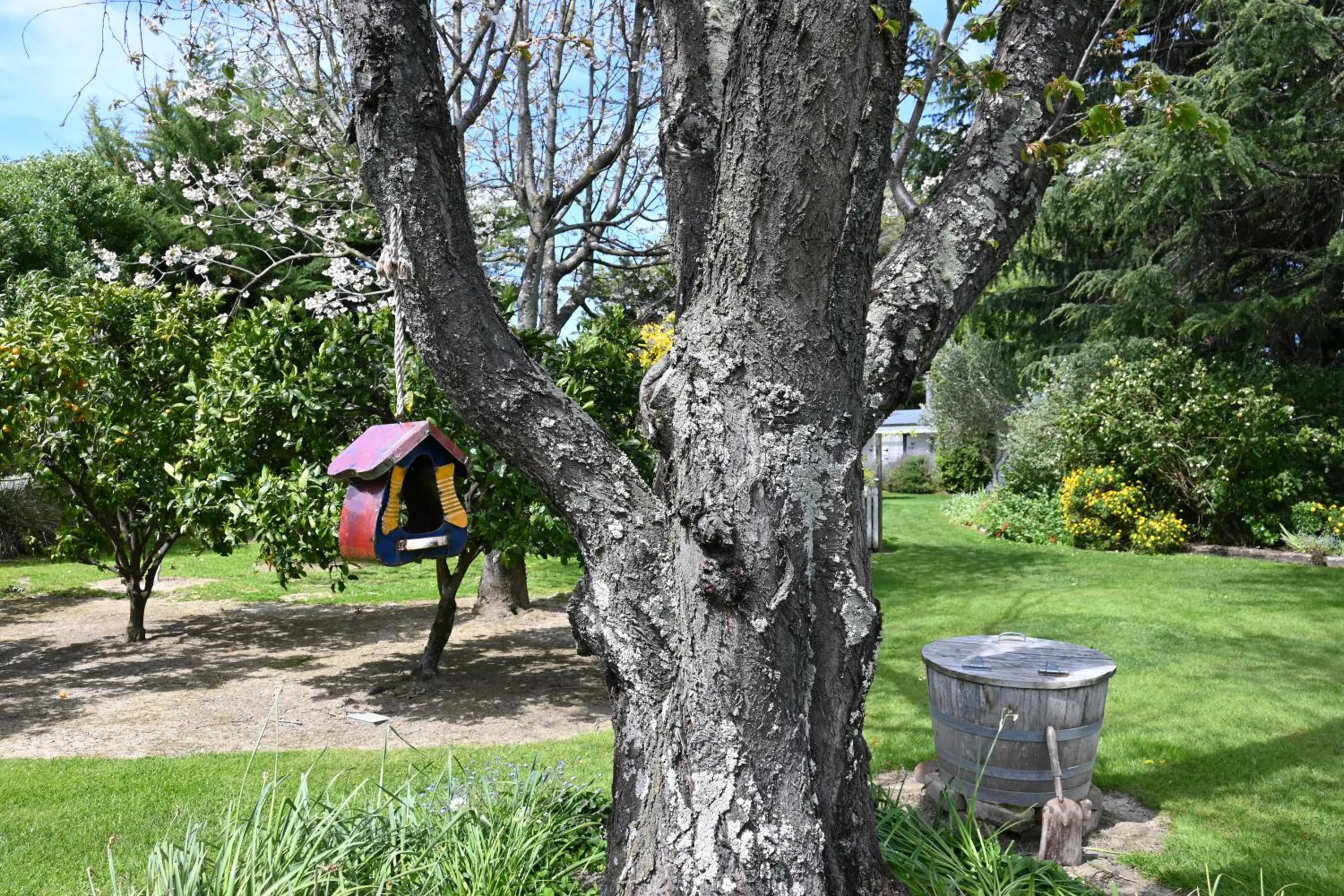 Garden in St Leonards Vineyard Cottages