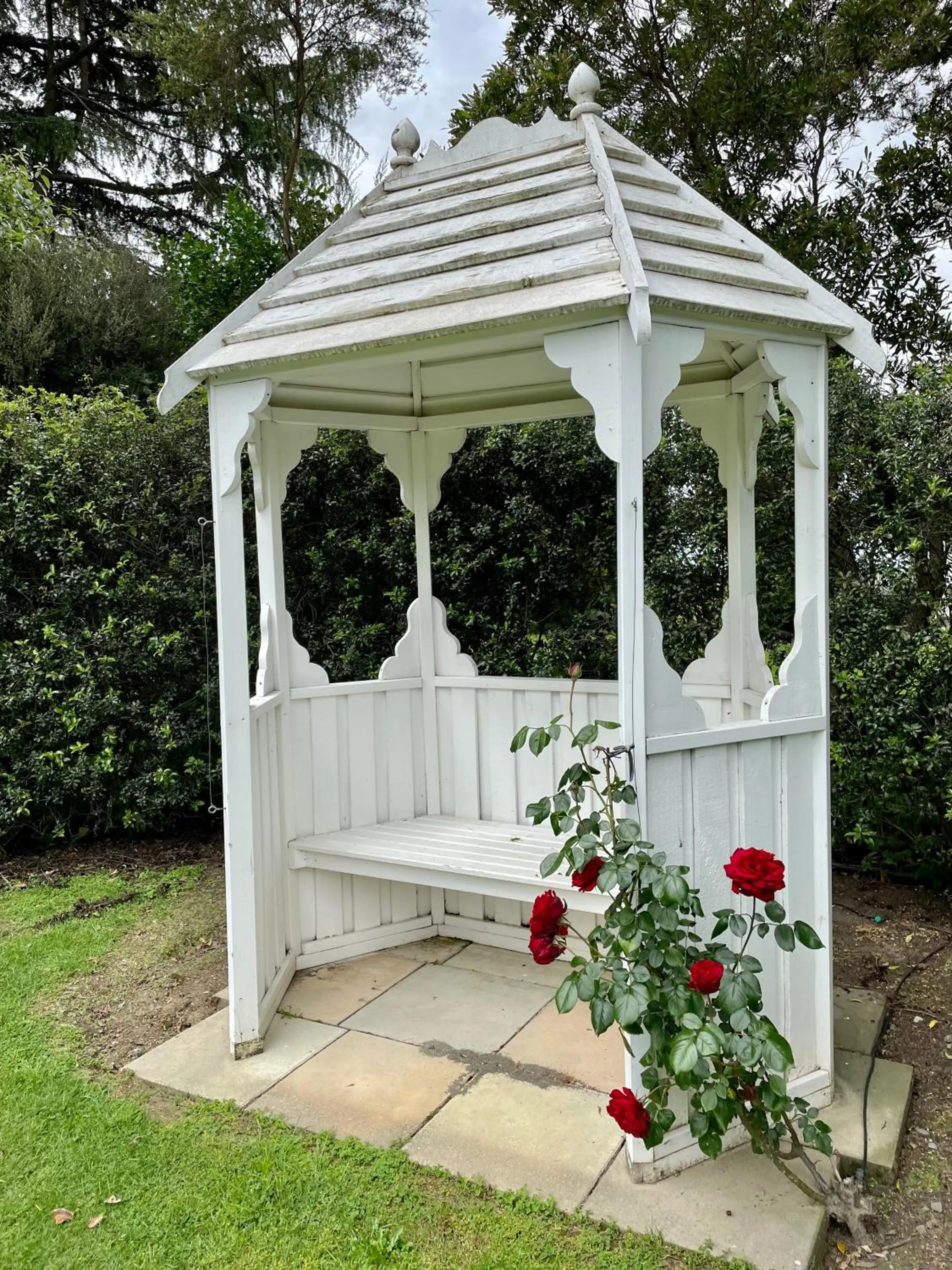 Garden in St Leonards Vineyard Cottages