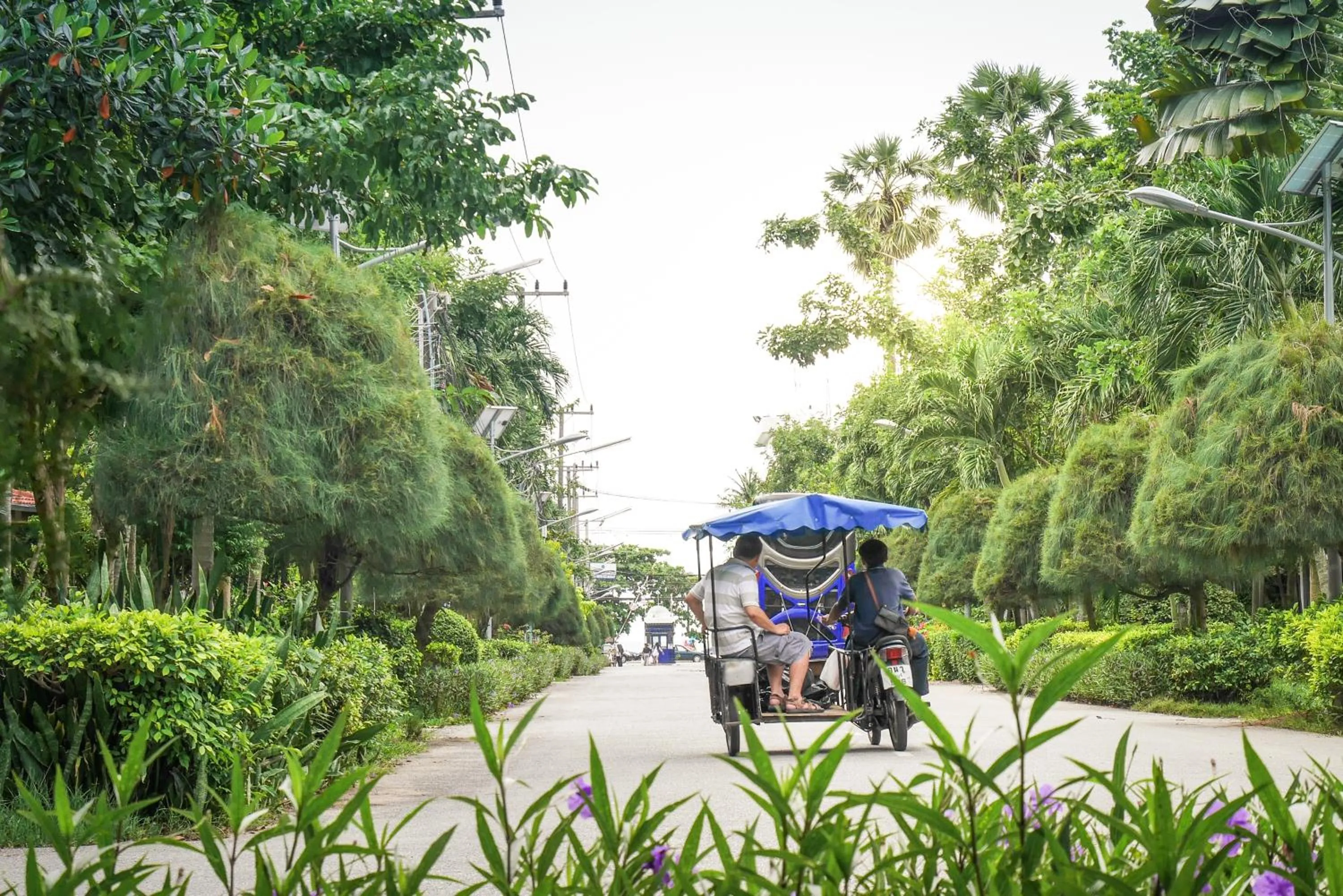 Beach in Villa Navin Beach Residence