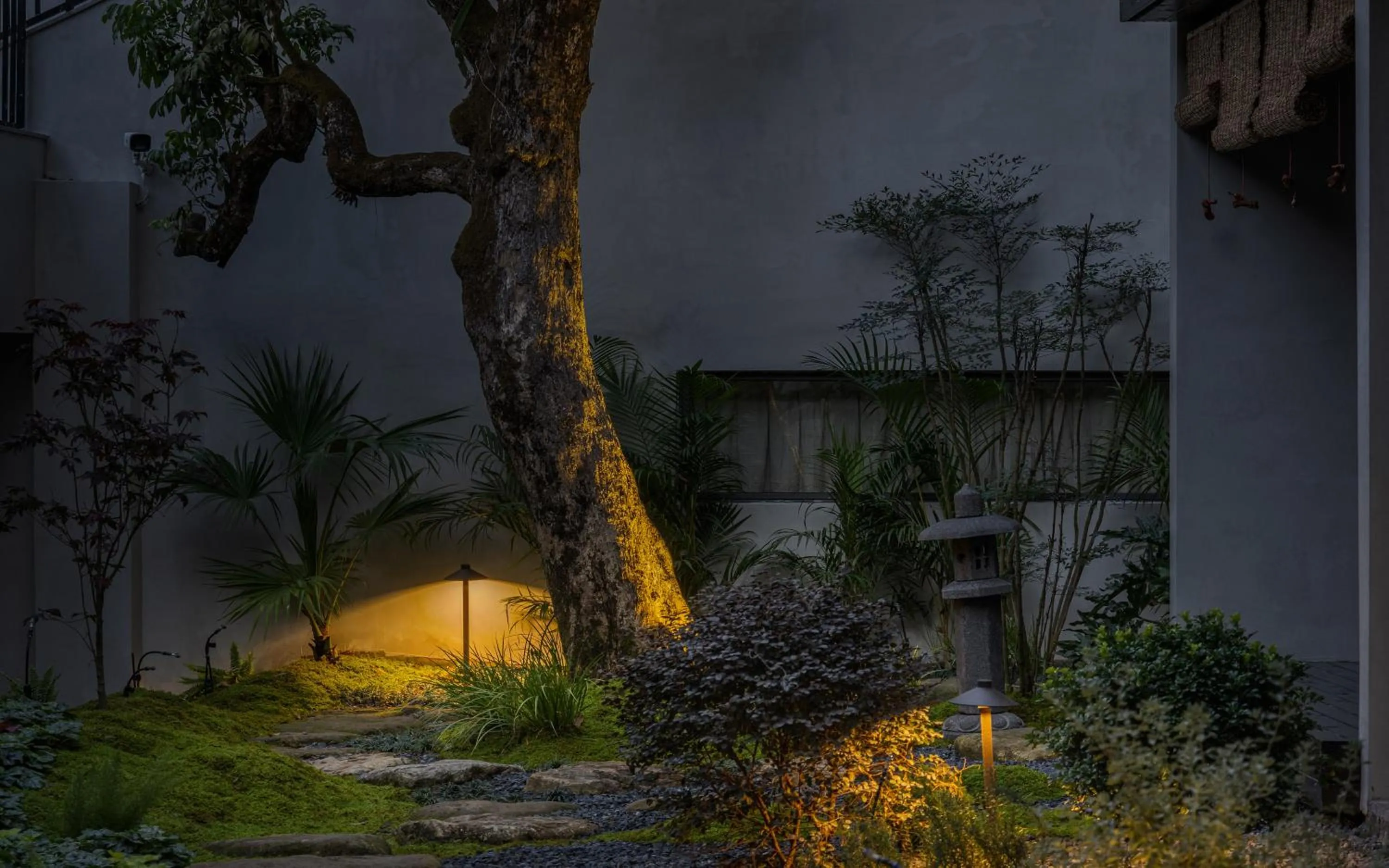 CongLinLi Wooded Homestay
