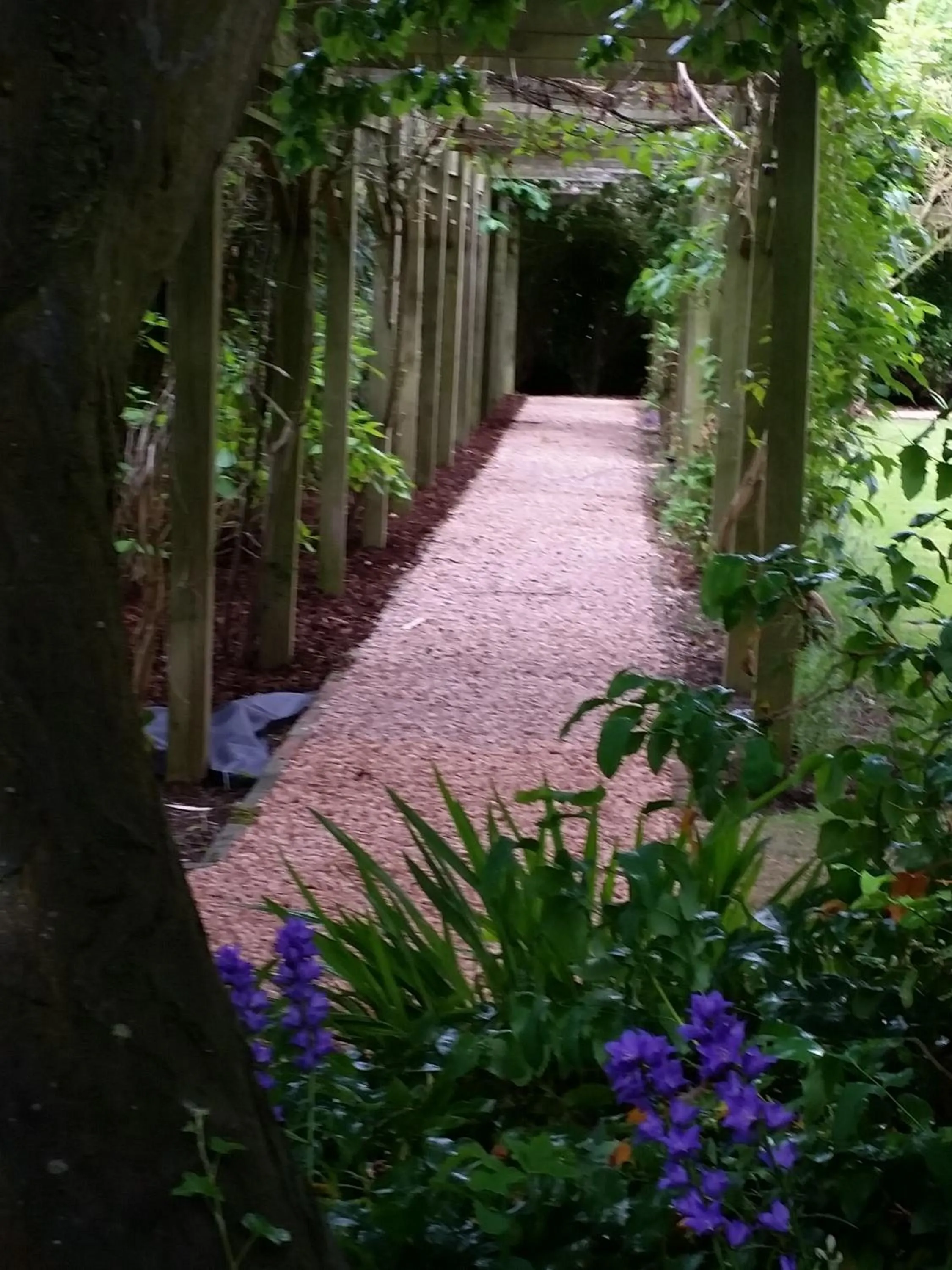 Garden in Blaisdon House B&B