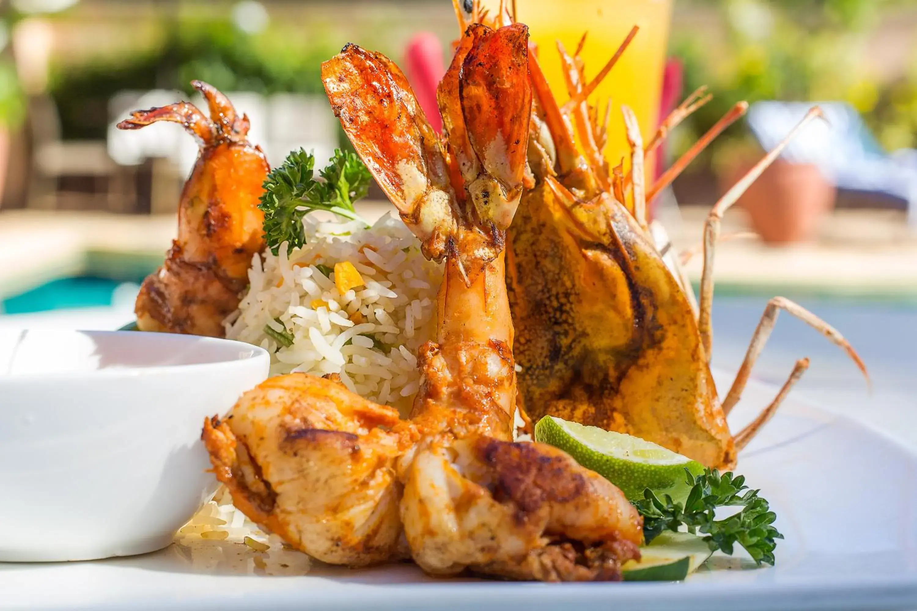 Restaurant/places to eat in Bliss Resort Restaurant/places to eat in Bliss Resort