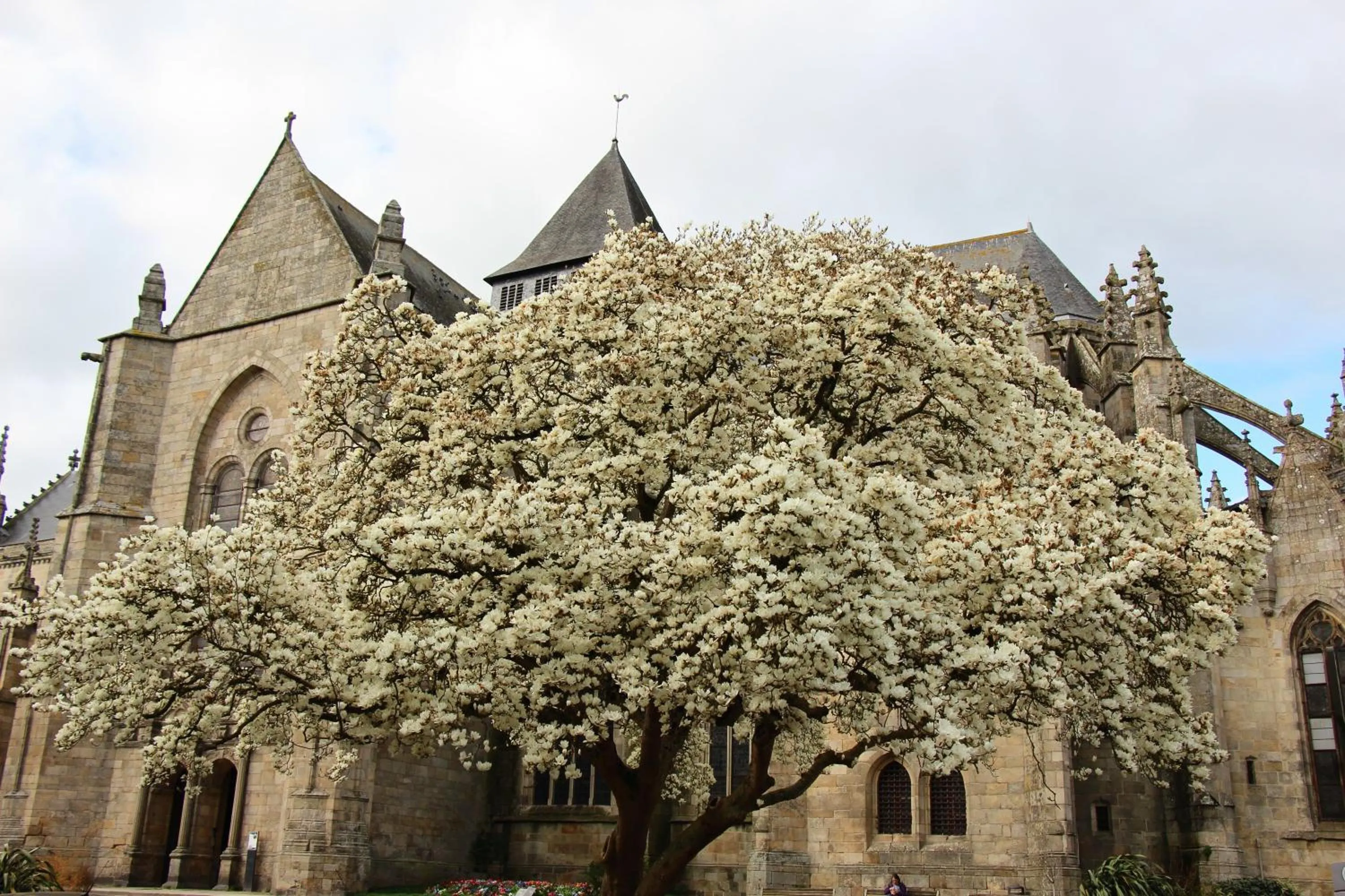 Nearby landmark in La Tocade Del Arte - Dinan