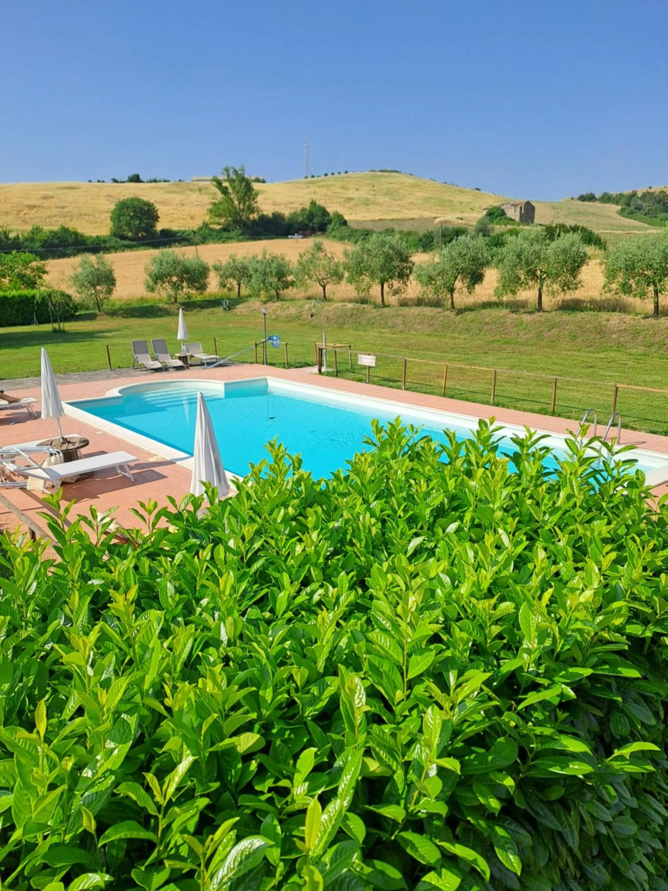 La Locanda Dell'olmo