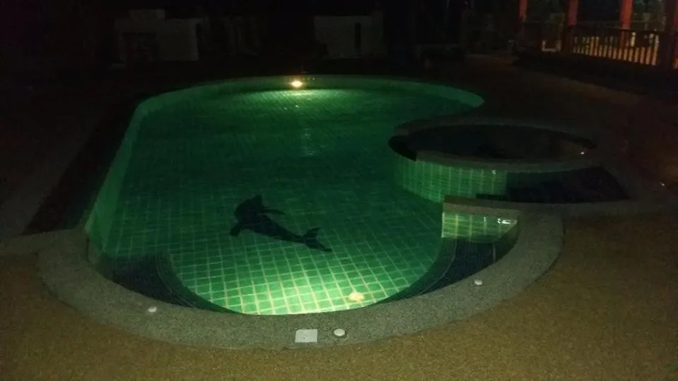 Pool view in Dachatorn Village