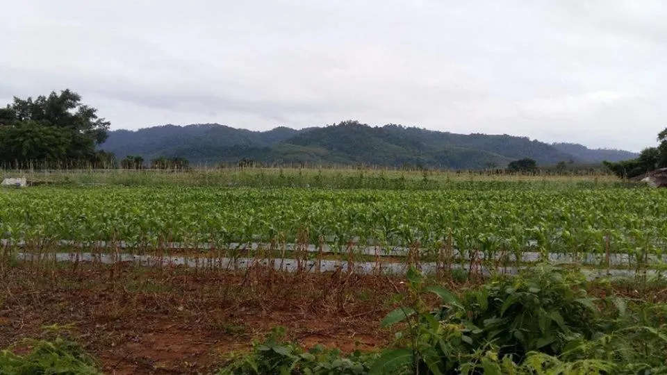 Natural landscape in Dachatorn Village