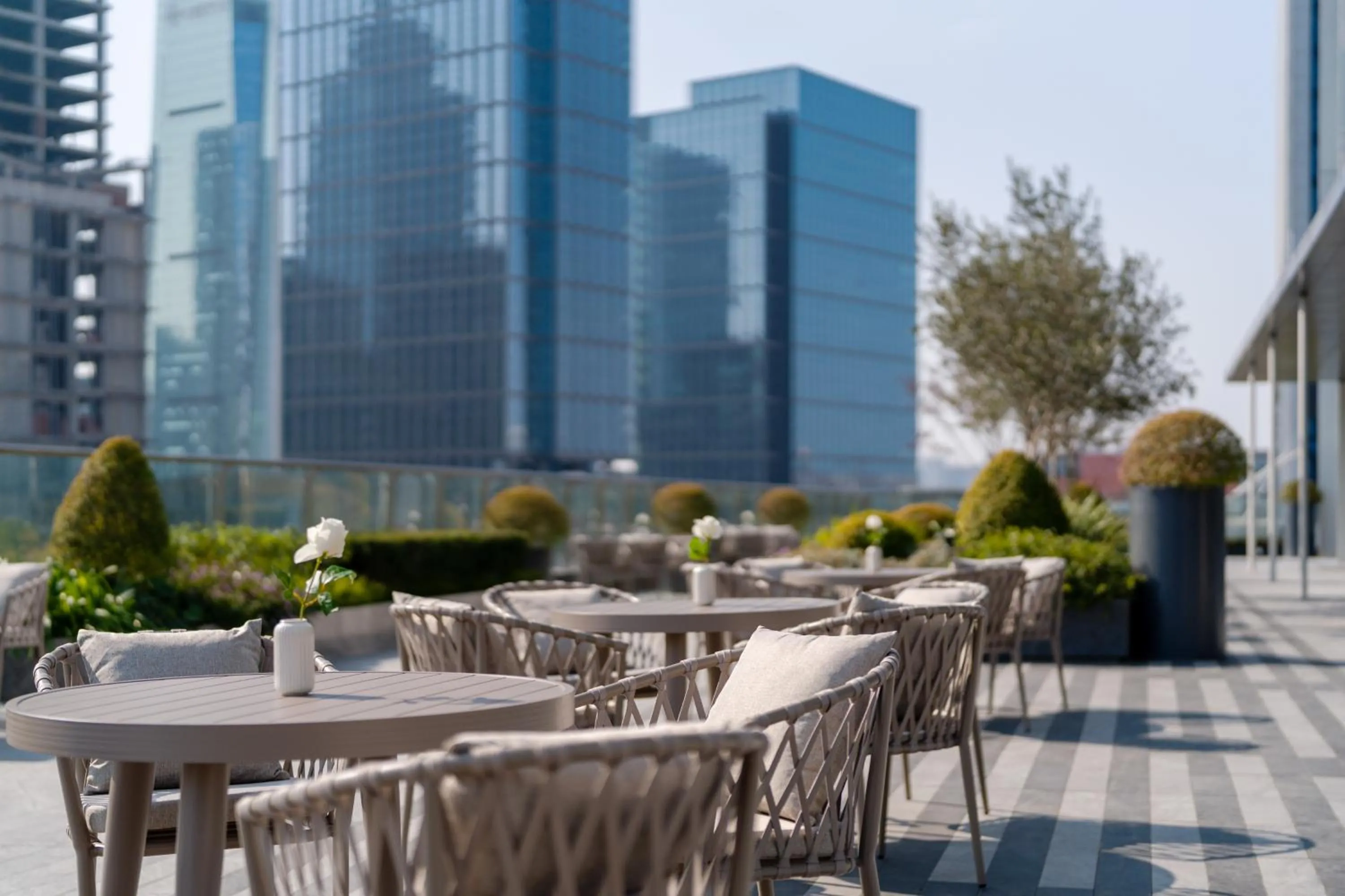 Garden in Novotel Chengdu Lige