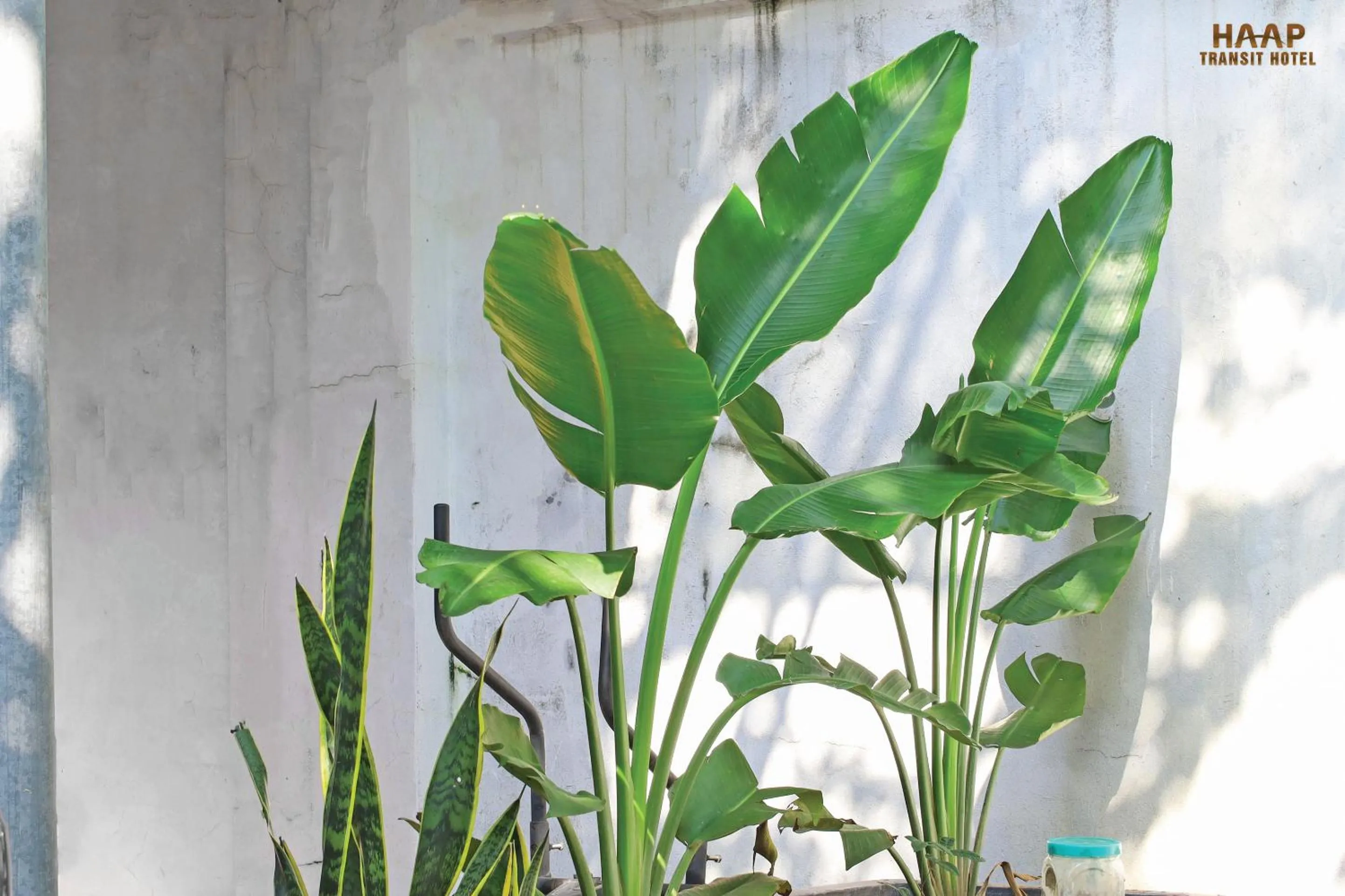 Day in HAAP Transit Hotel