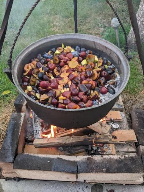 BBQ facilities in Pensiunea Vladut Timisoara