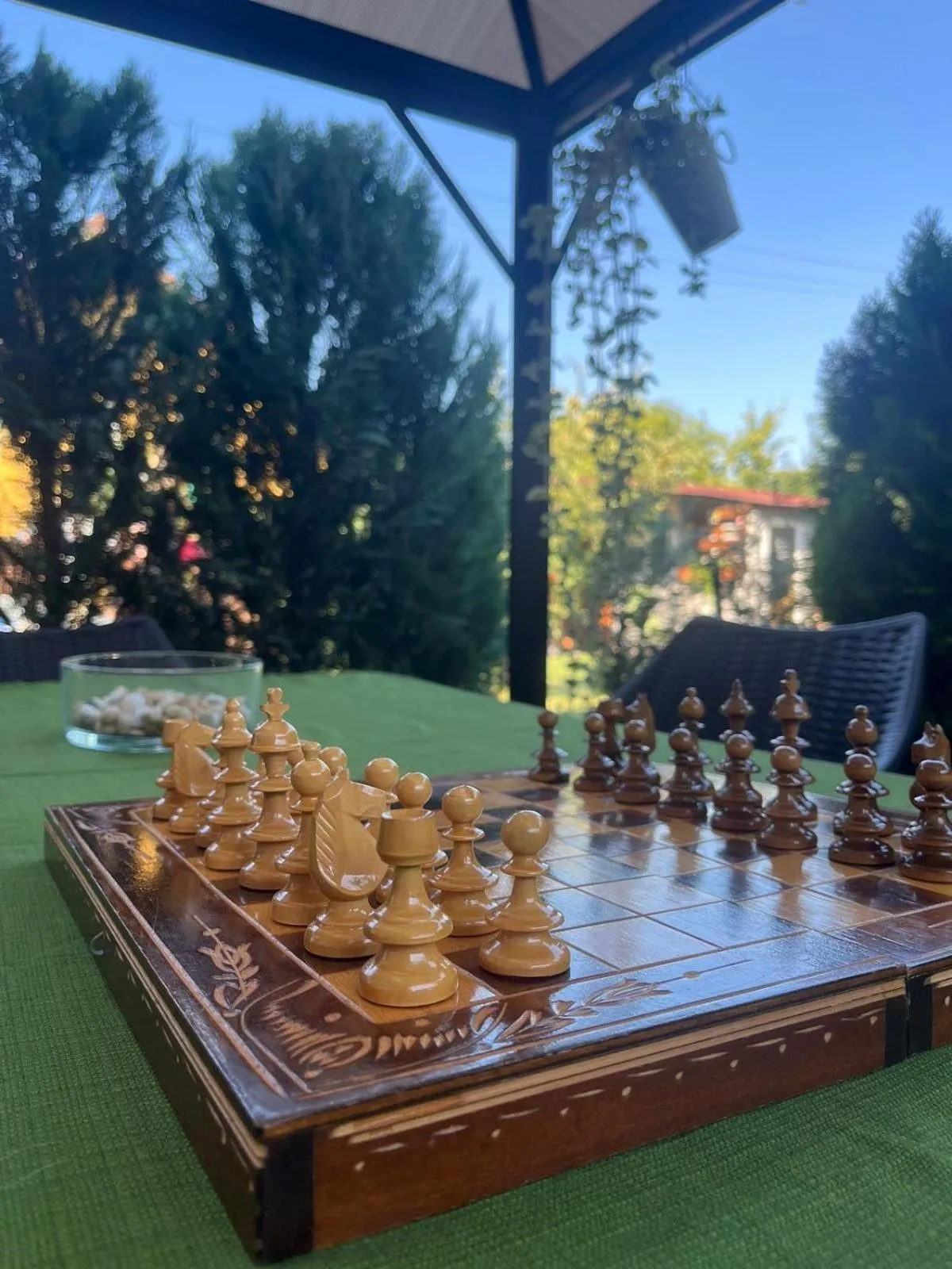 Activities in Pensiunea Vladut Timisoara