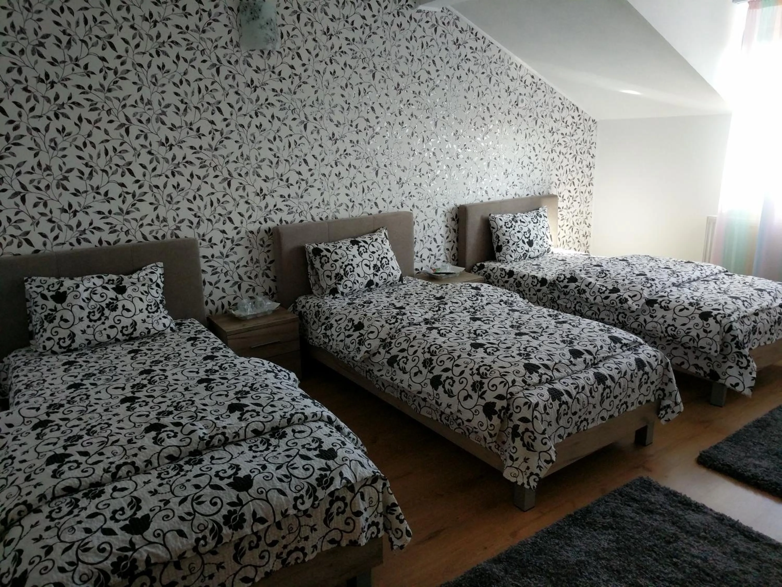 Triple Room with Private Bathroom in Pensiunea Vladut Timisoara