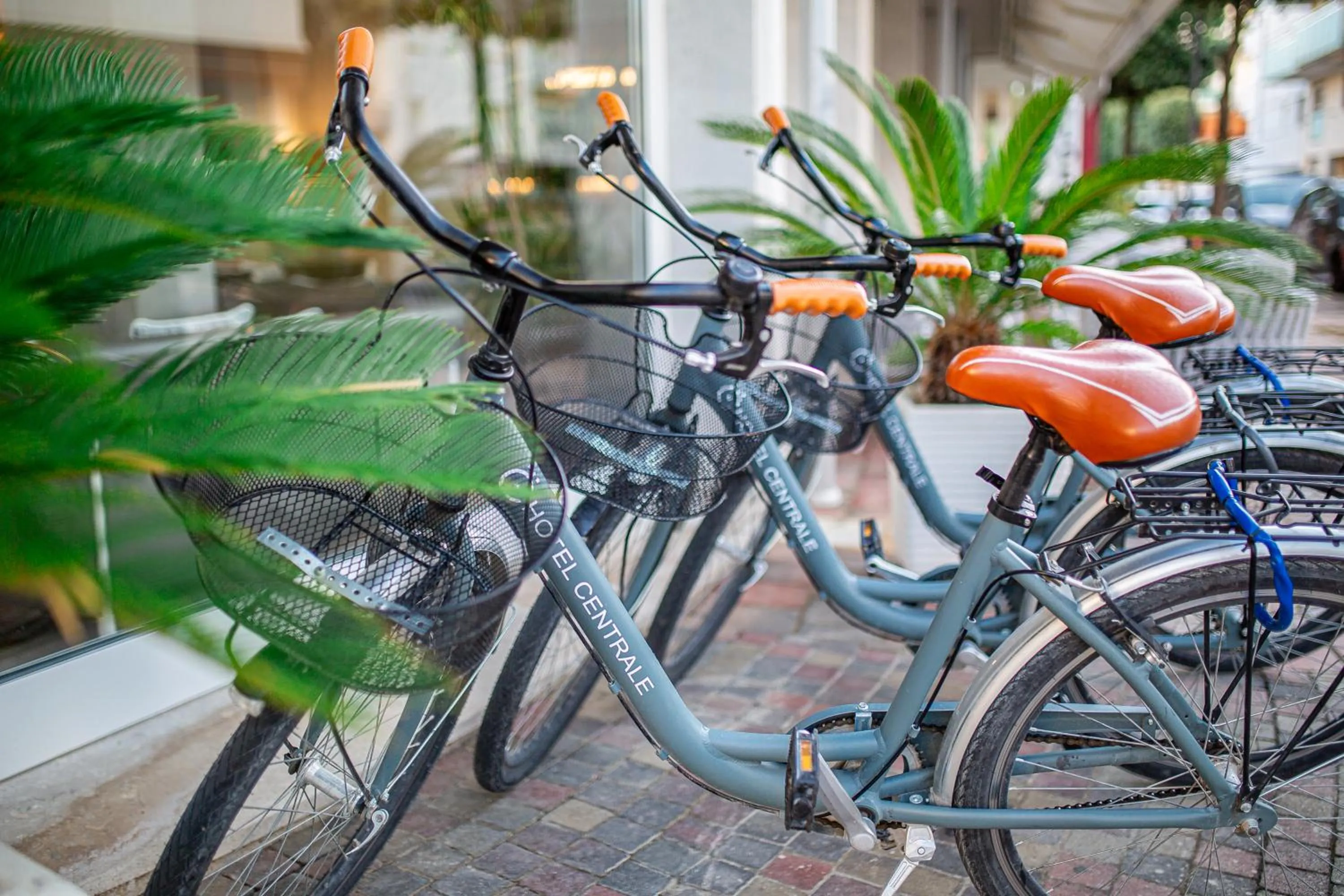Cycling in Hotel Centrale