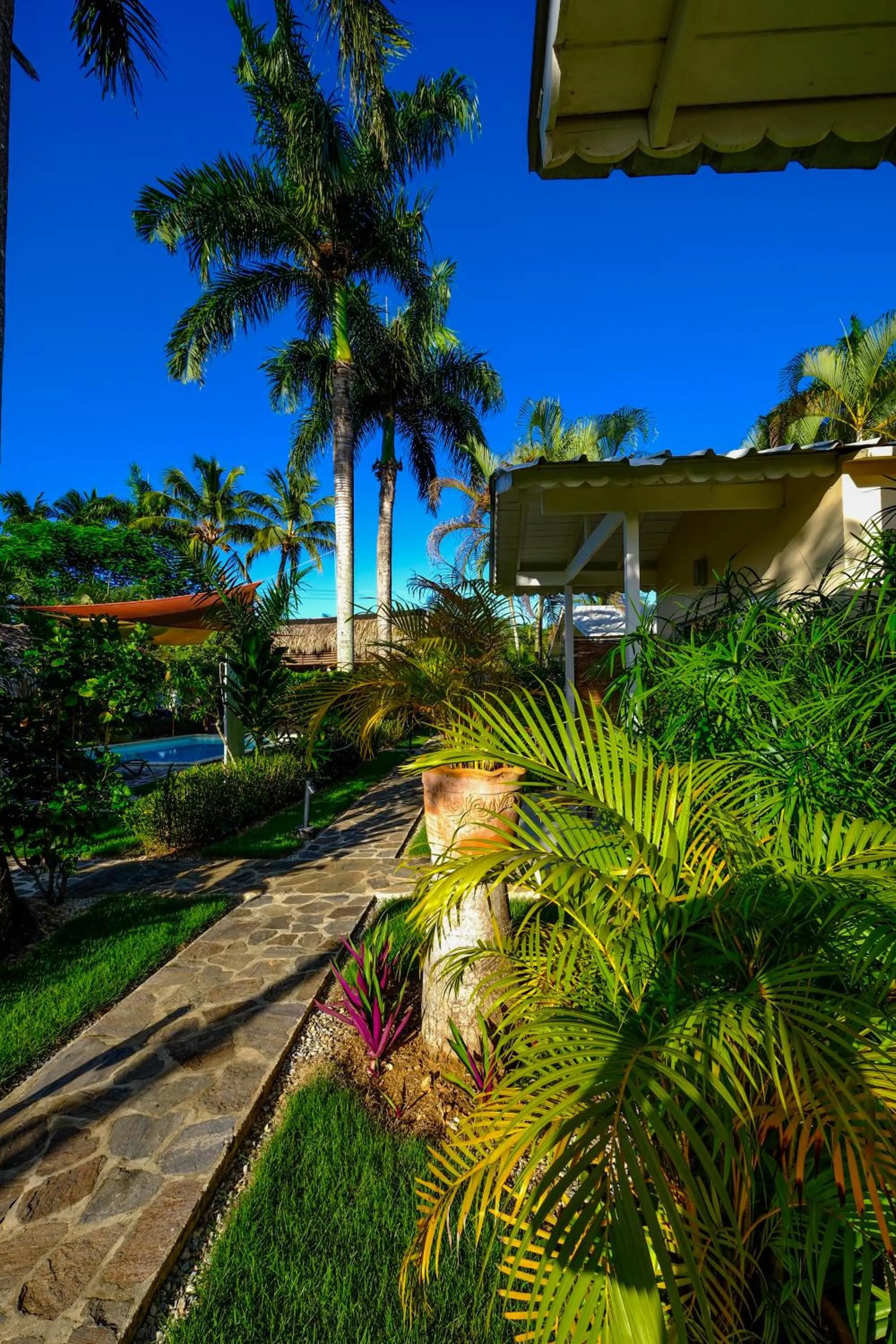 Garden in Hotel Enjoy