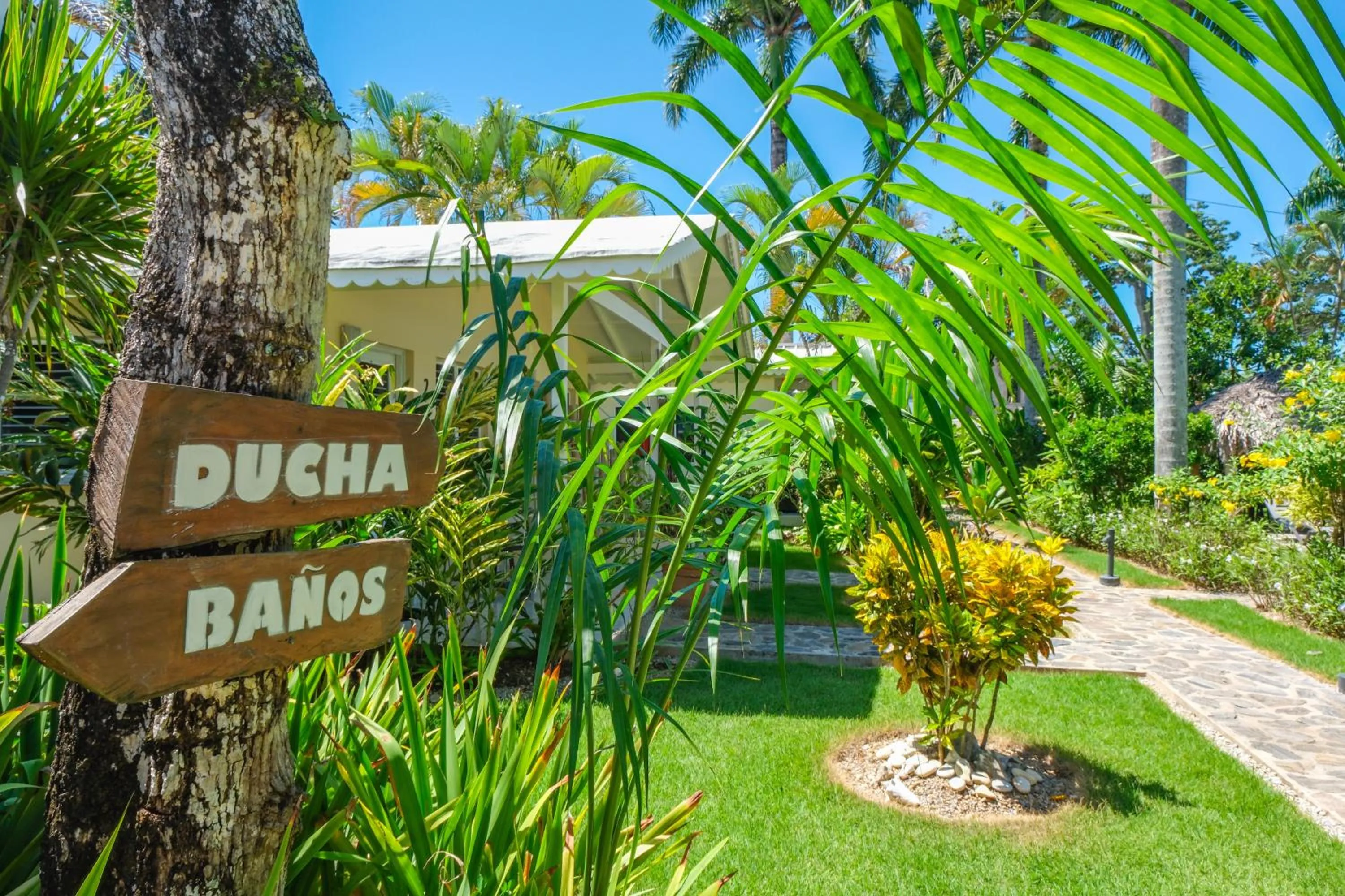 Natural landscape in Hotel Enjoy