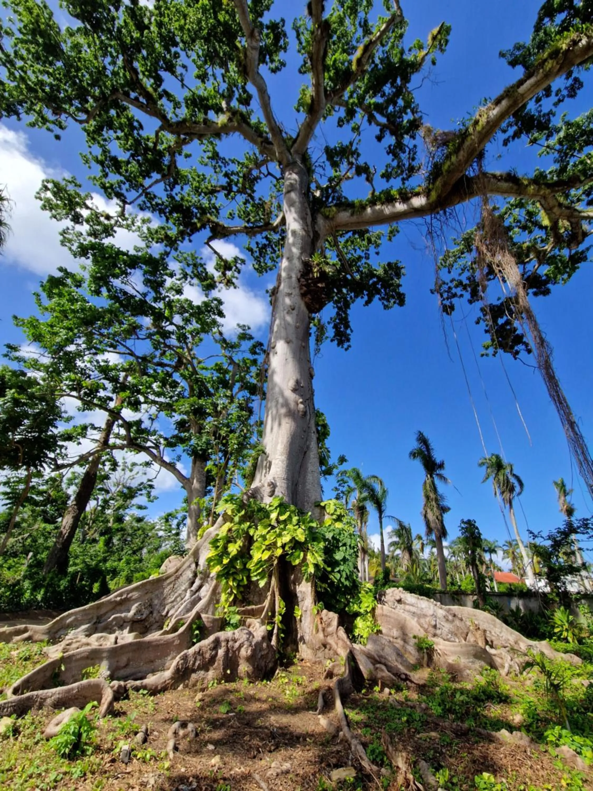 Nearby landmark in Hotel Enjoy