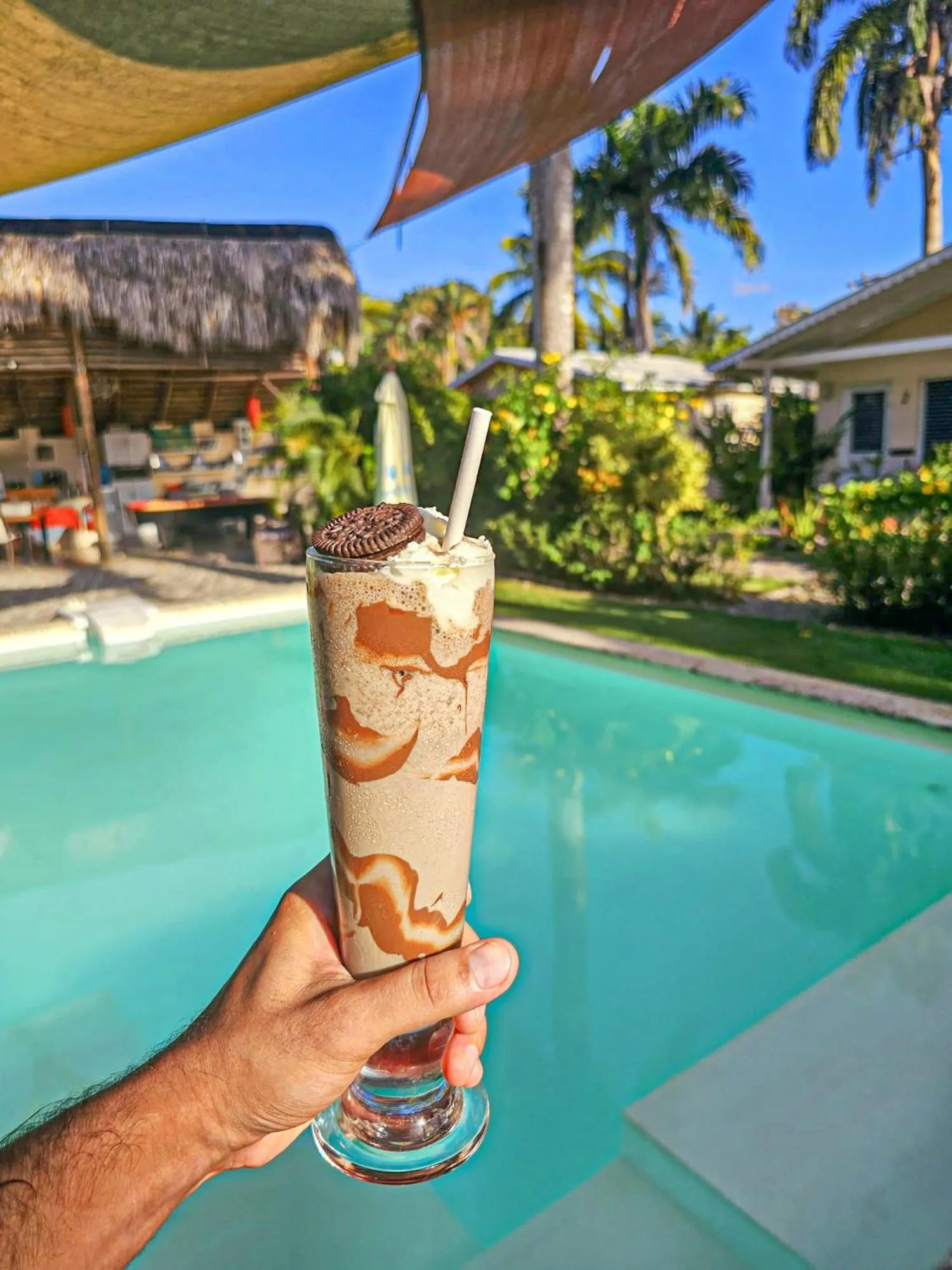 Natural landscape in Hotel Enjoy