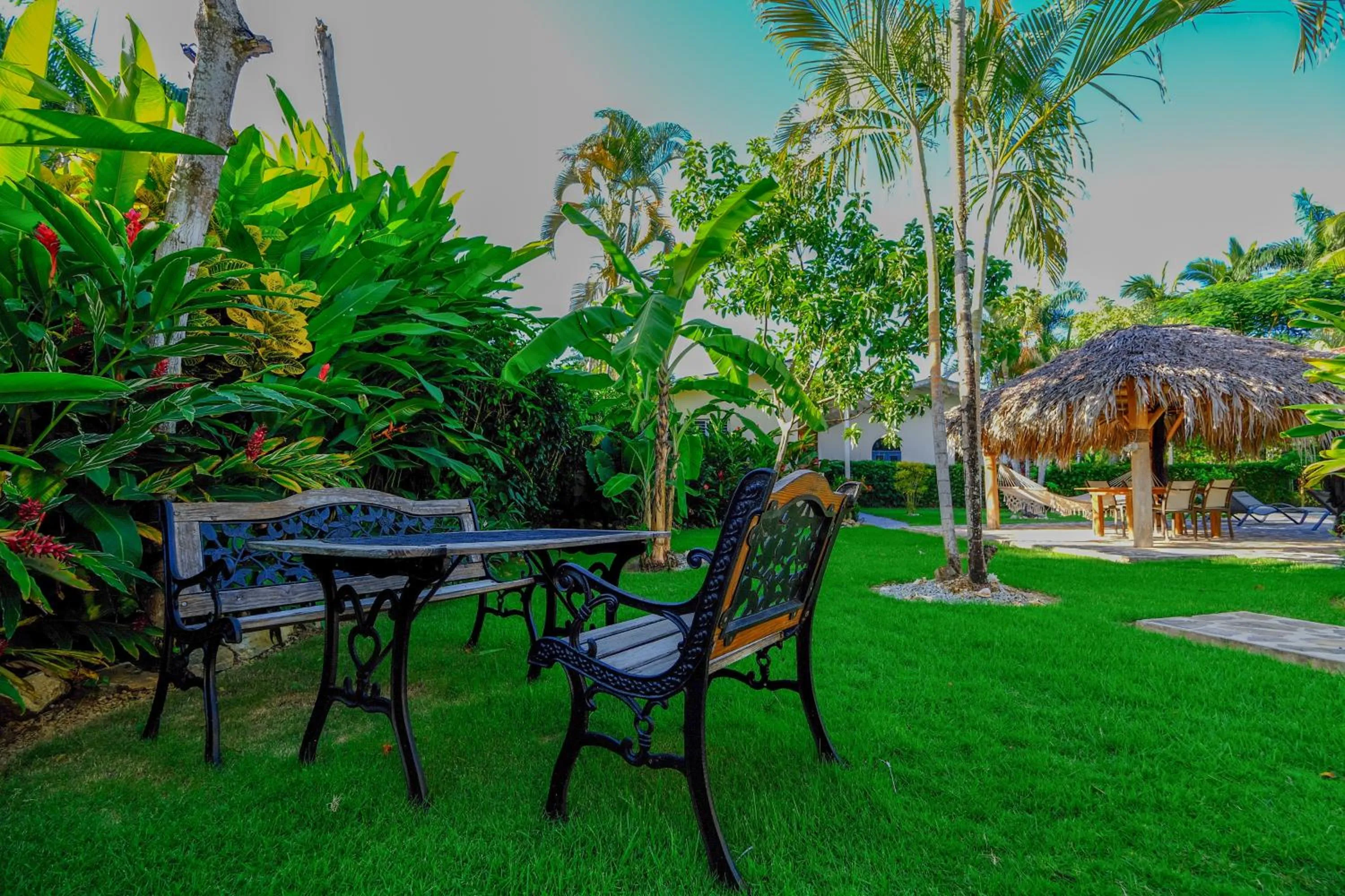 Natural landscape in Hotel Enjoy