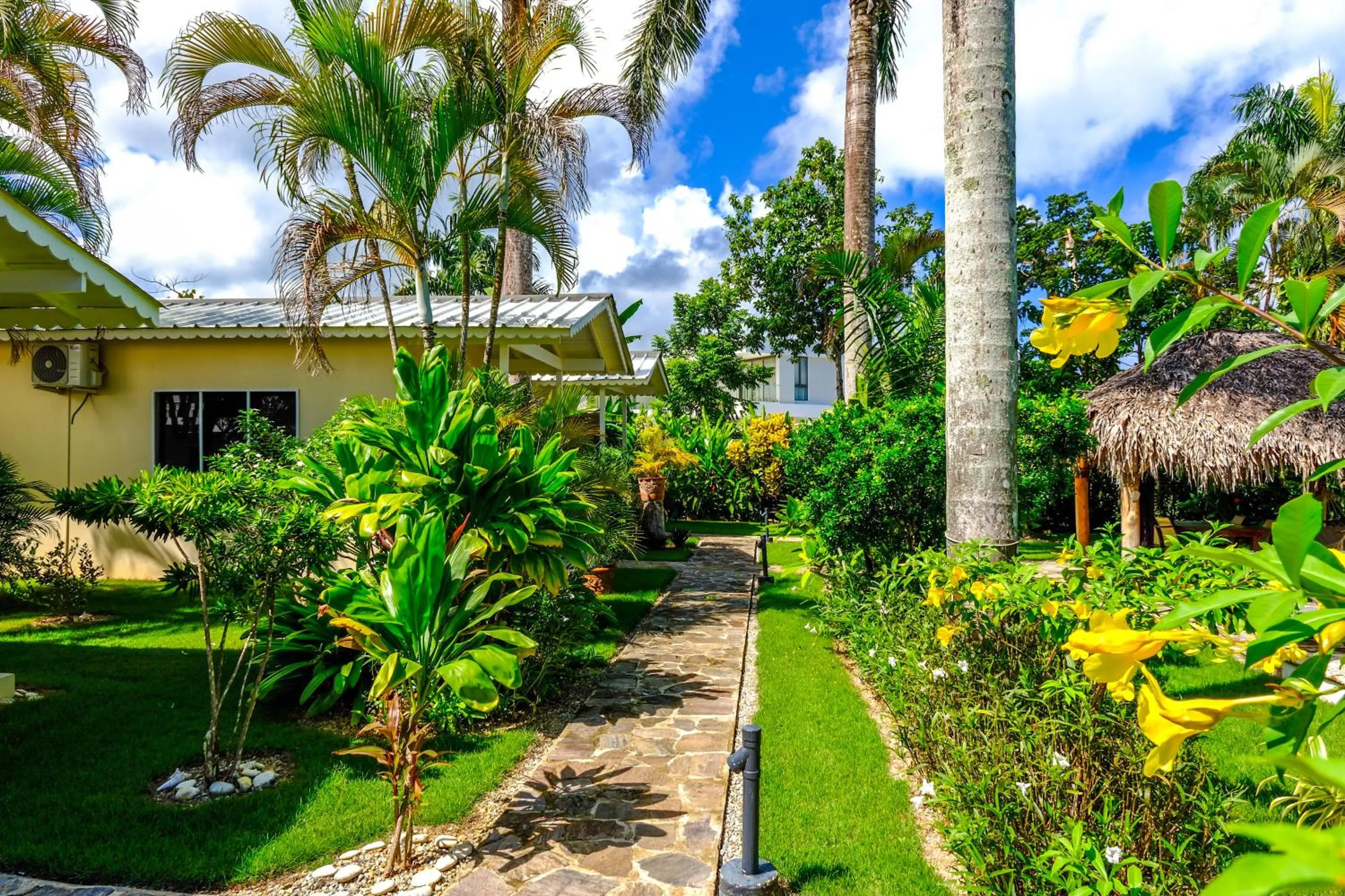 Natural landscape in Hotel Enjoy