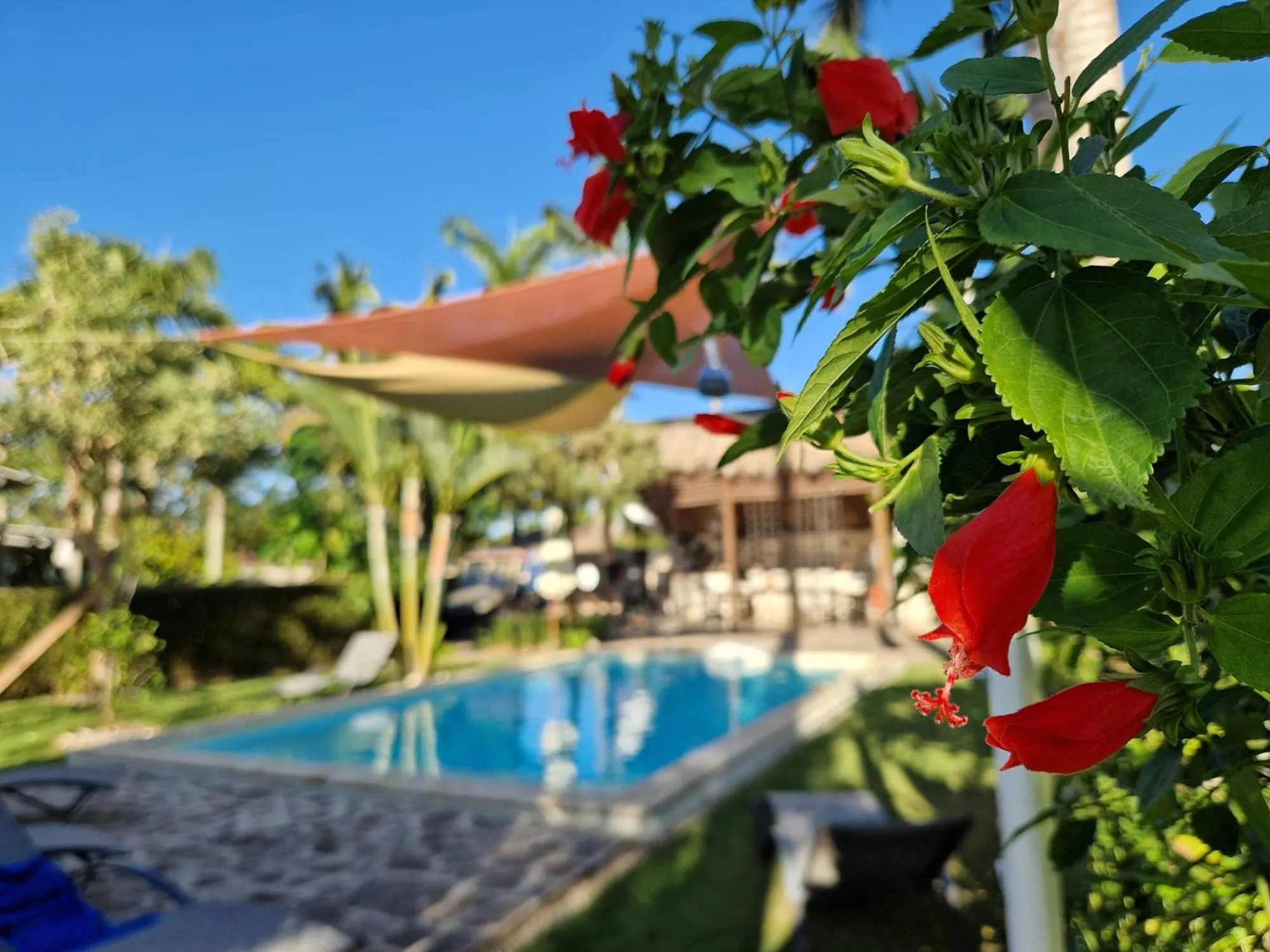 Swimming pool in Hotel Enjoy
