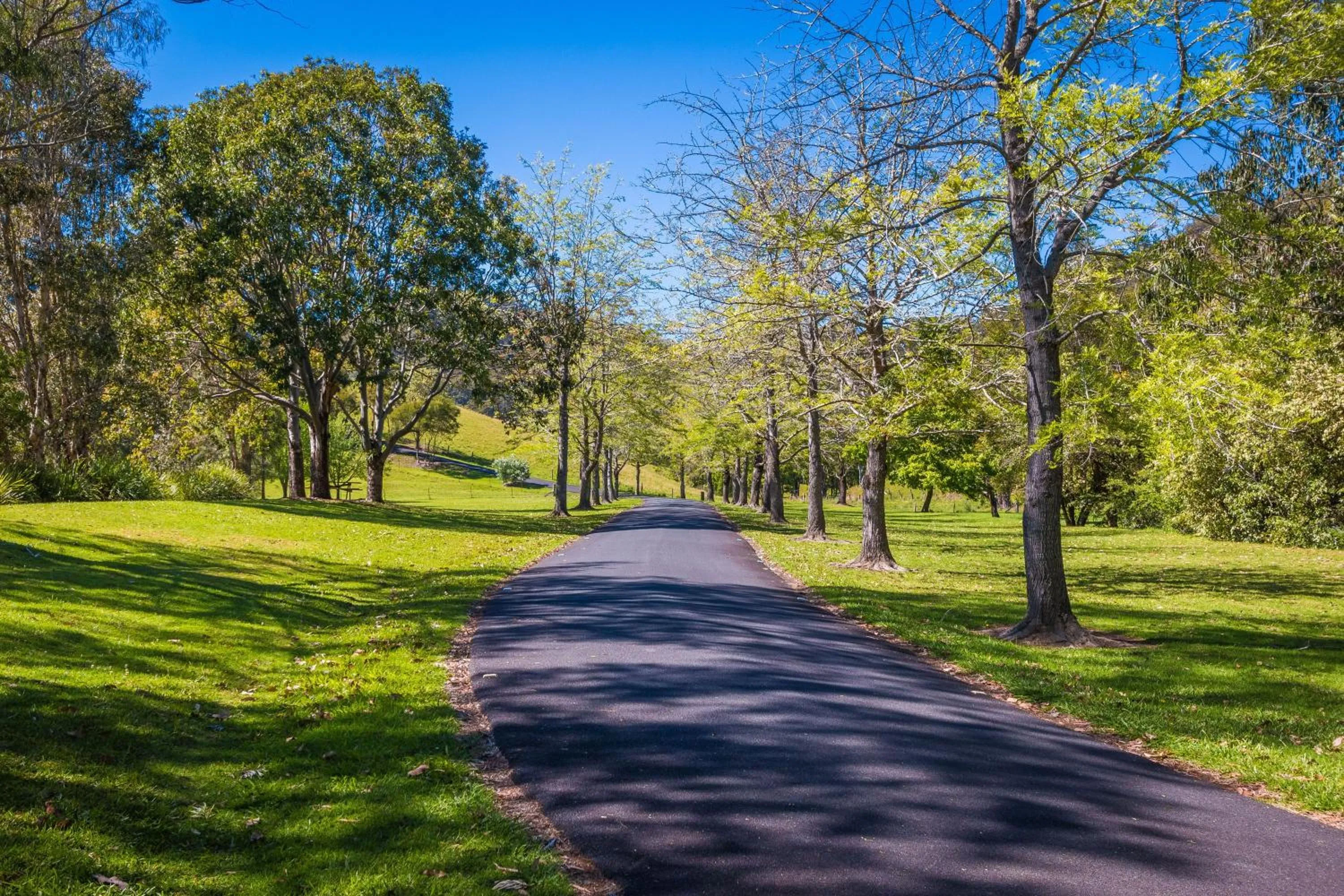 Garden in Friday Creek Retreat