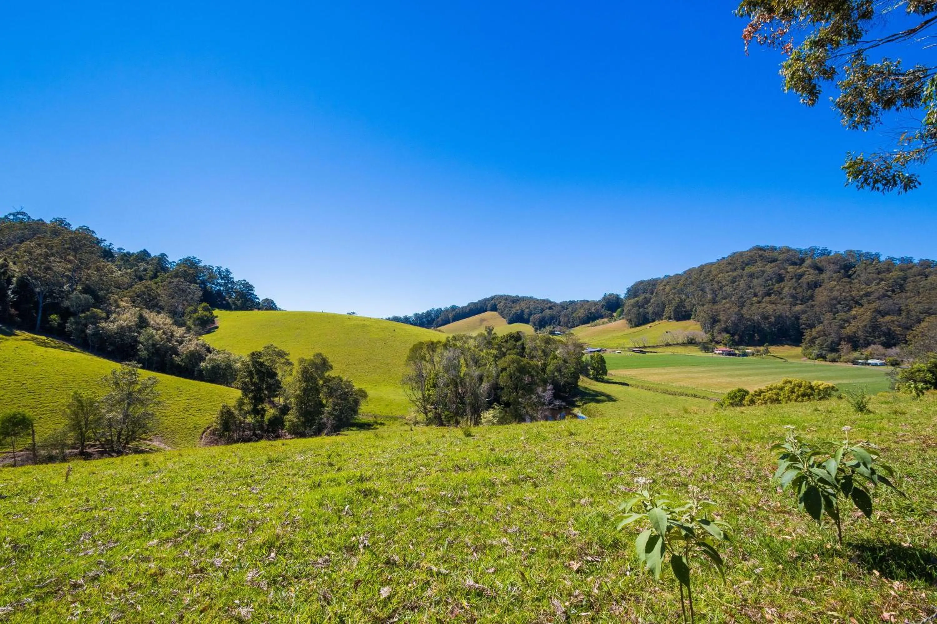 Garden in Friday Creek Retreat