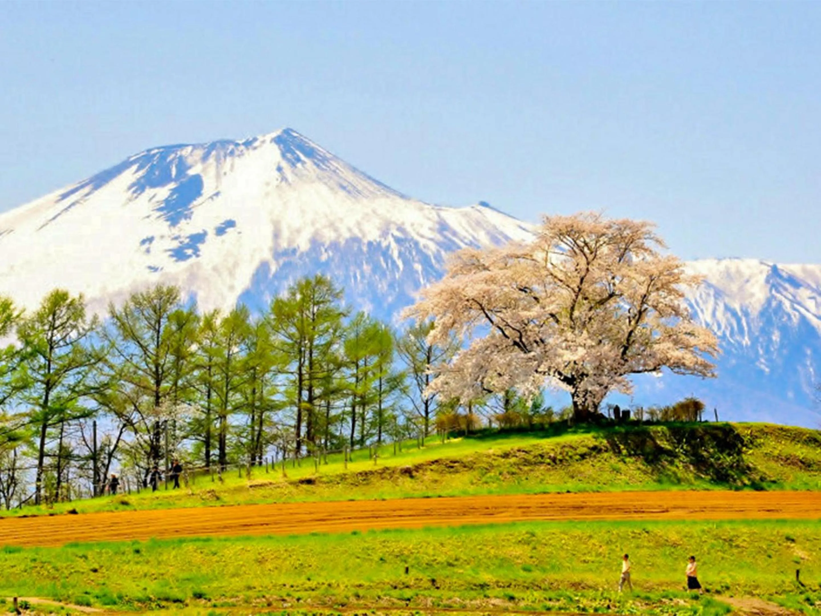 Nearby landmark in Ikoinomura Iwate