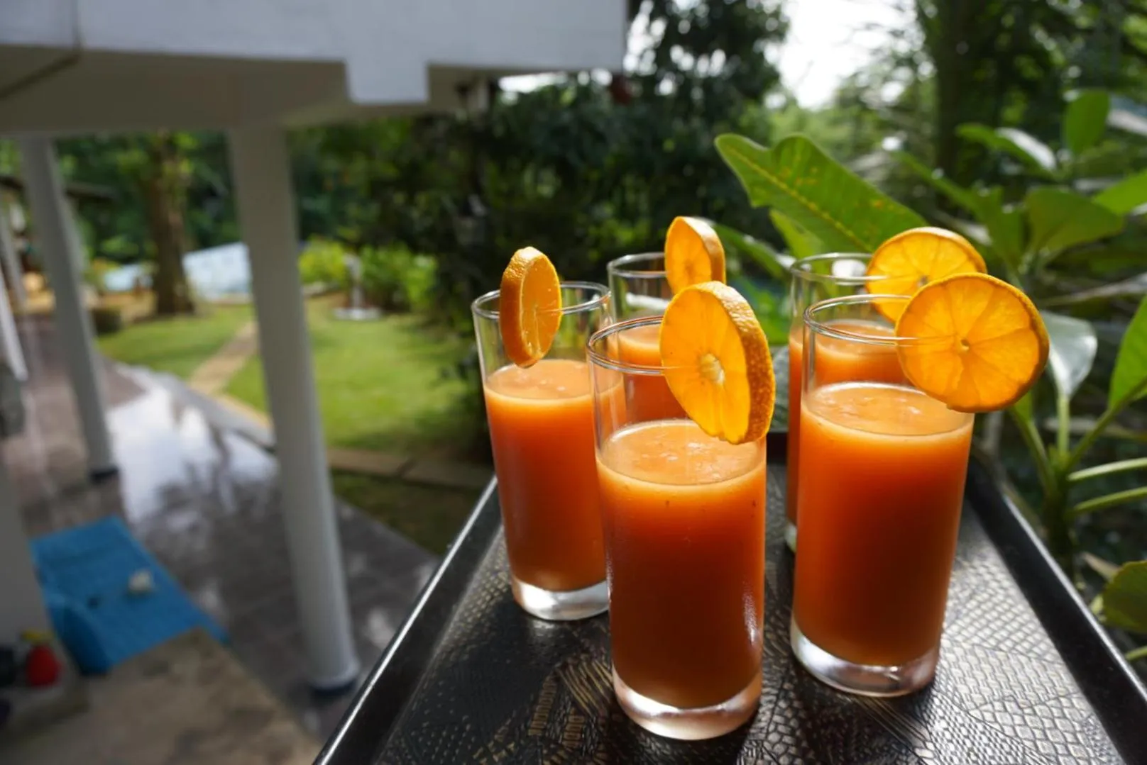 Drinks in Green Hill Paradise Villa