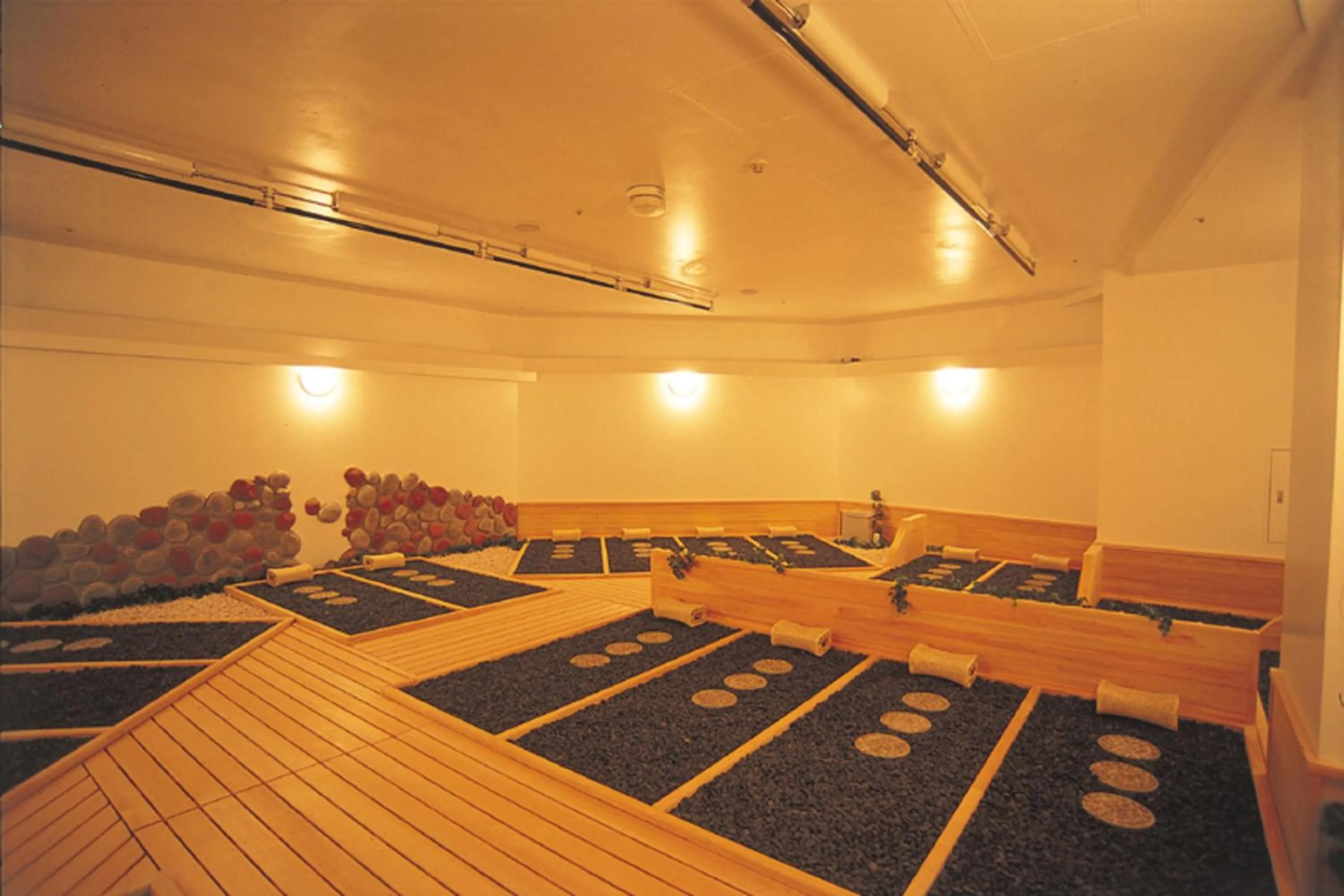 Area and facilities, Business Area/Conference Room in Hotel De Premiere Minowa