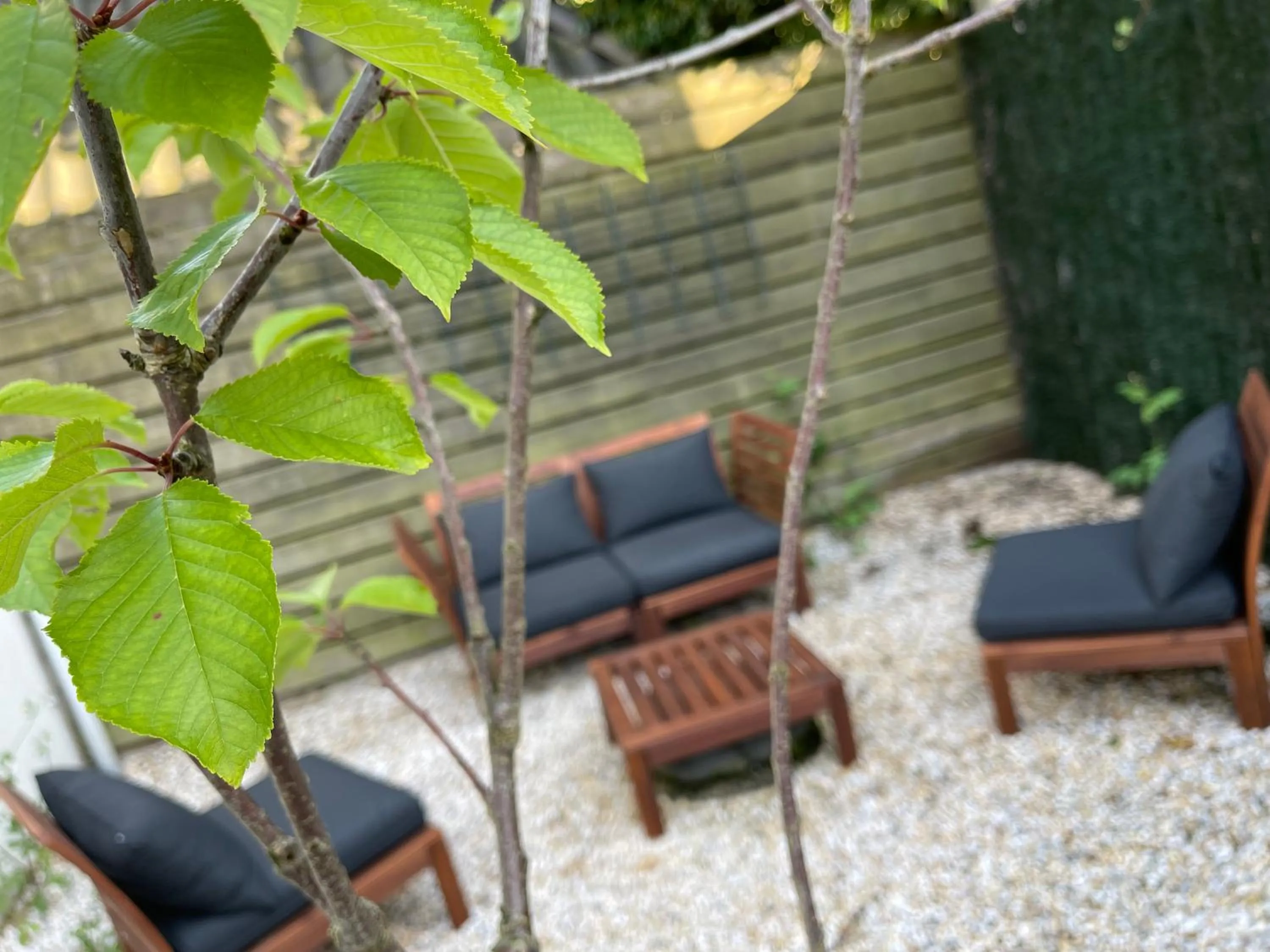 Garden in Zorn Hotel Duinlust