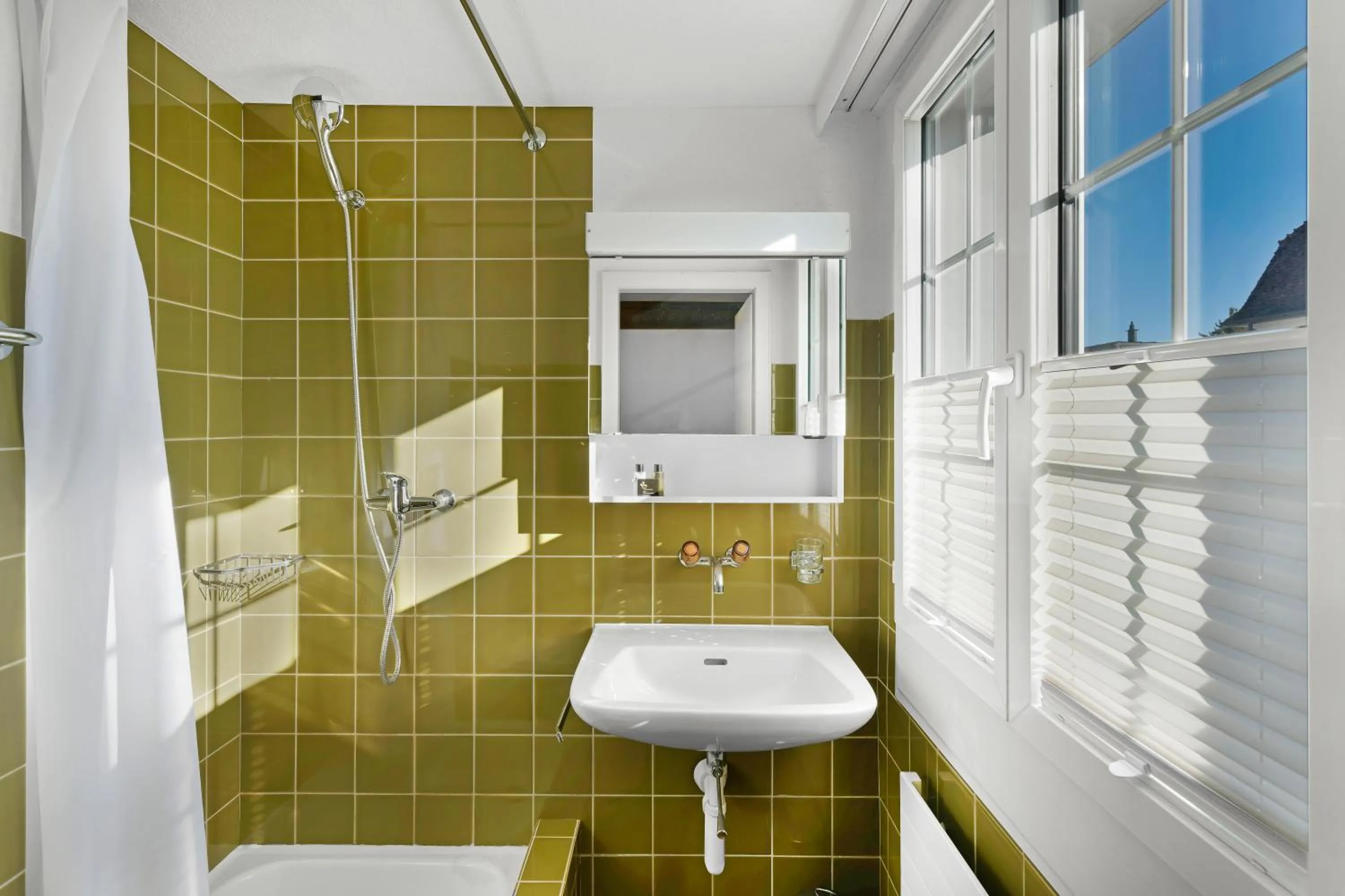 Shower in Hotel Schiff