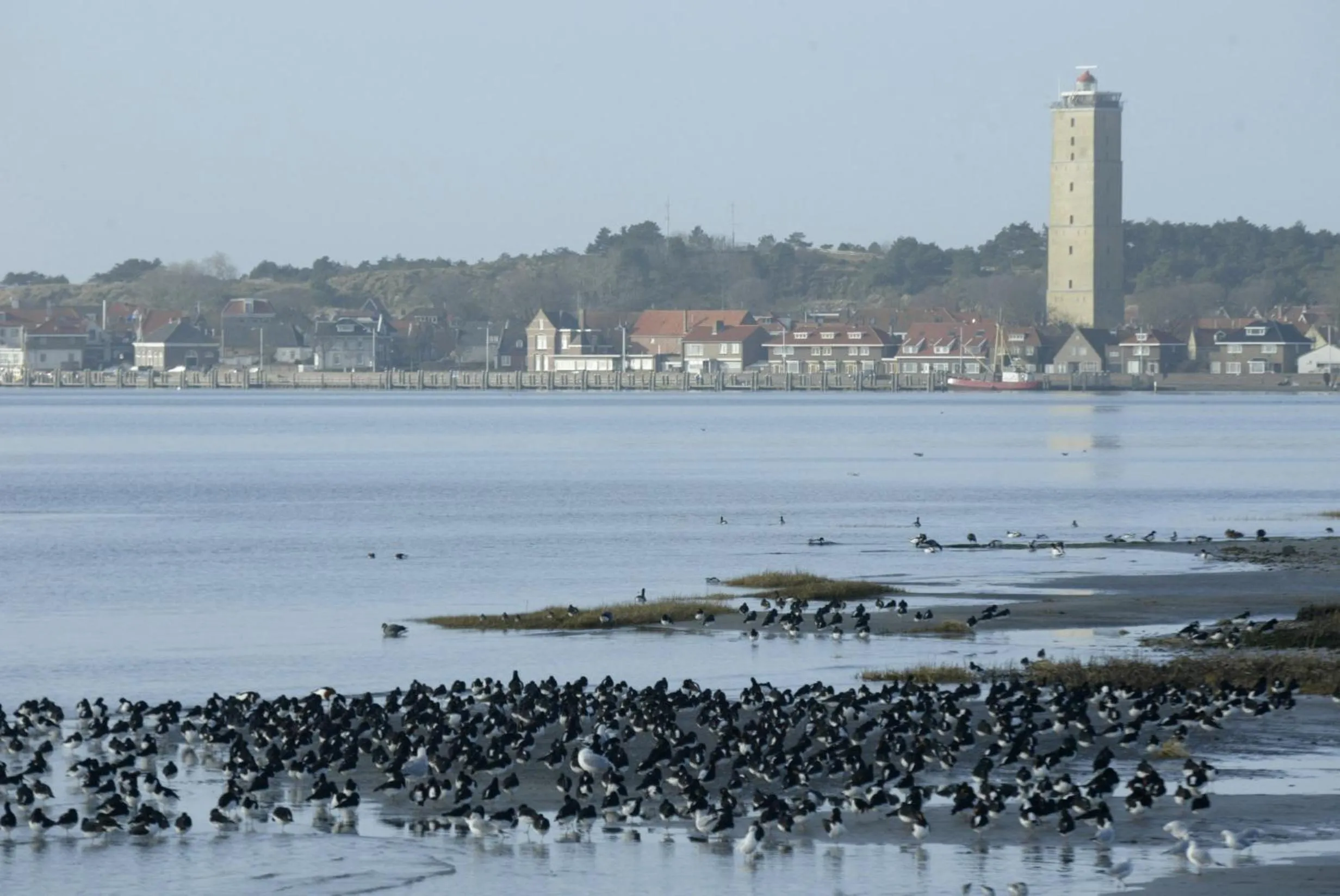 View (from property/room) in Stayokay Hostel Terschelling