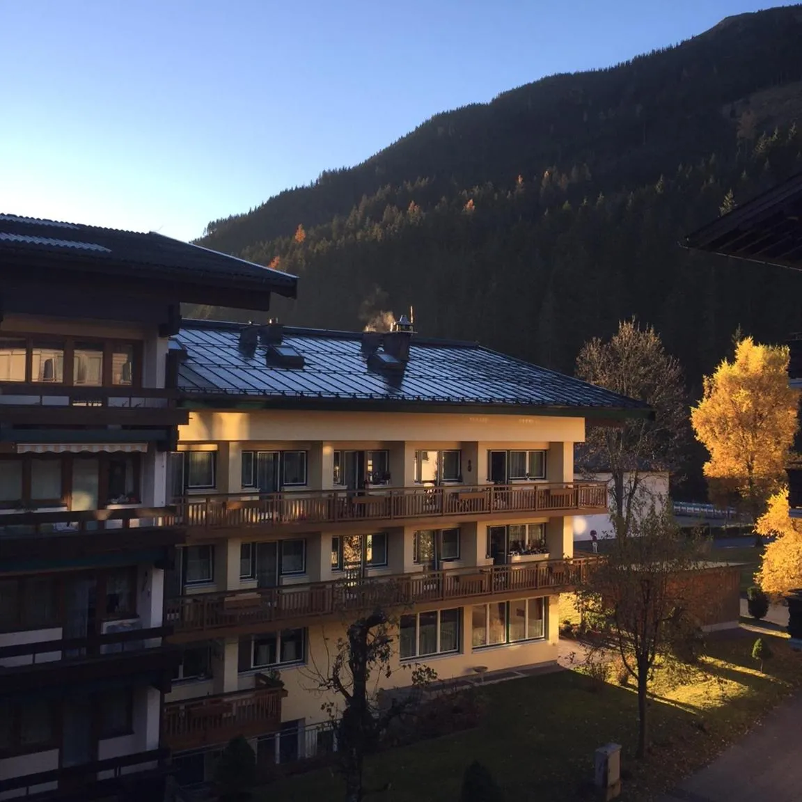 Bear Hutte Saalbach near Billa