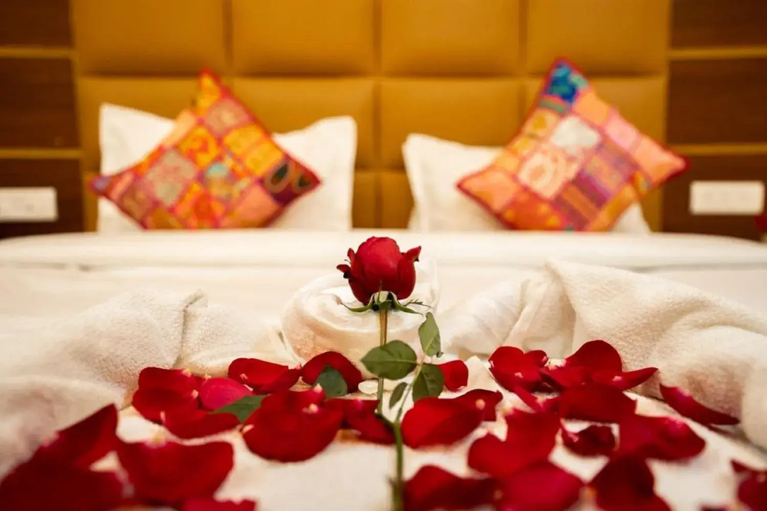 Standard King Room - single occupancy in Hotel VS Residency Standard King Room - single occupancy in Hotel VS Residency