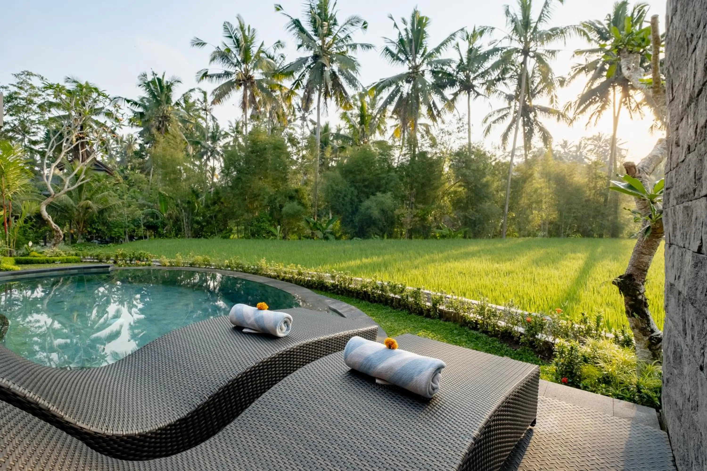 Natural landscape in D'bale Ananda Villa Ubud