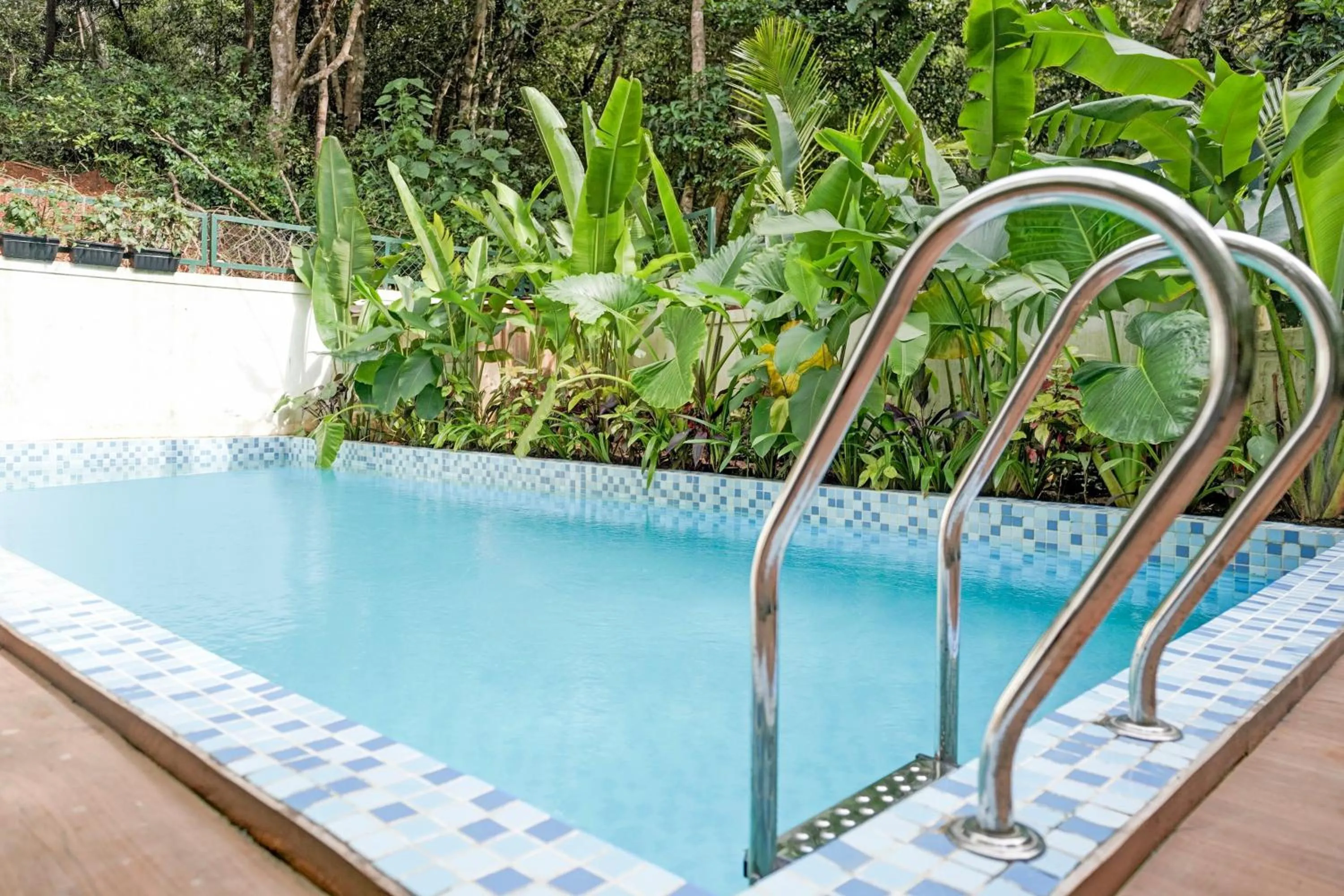 Swimming pool in DanCenter Havana Villa Siolim | 3BHK | Pvt Pool | Goa