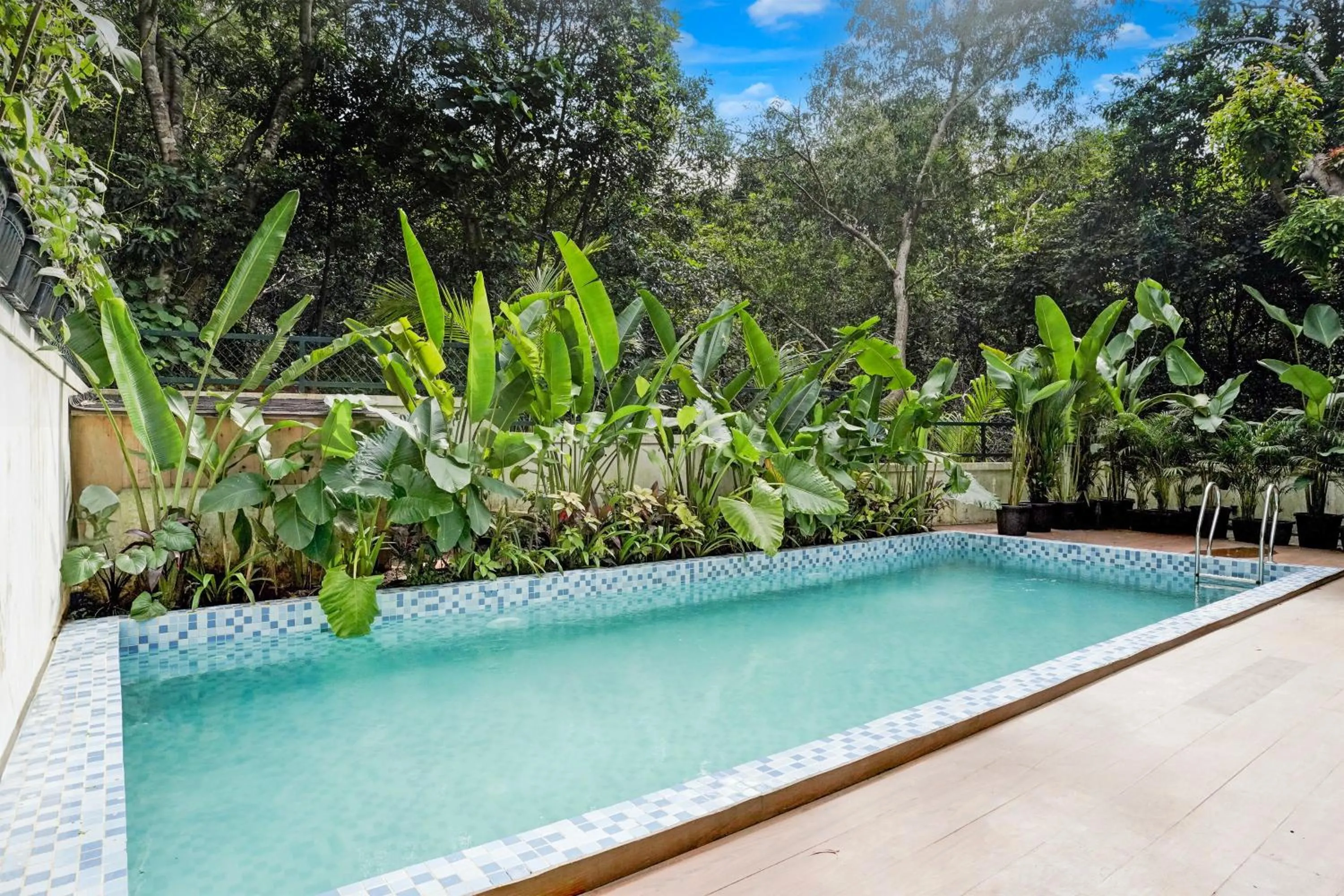 Swimming pool in DanCenter Havana Villa Siolim | 3BHK | Pvt Pool | Goa