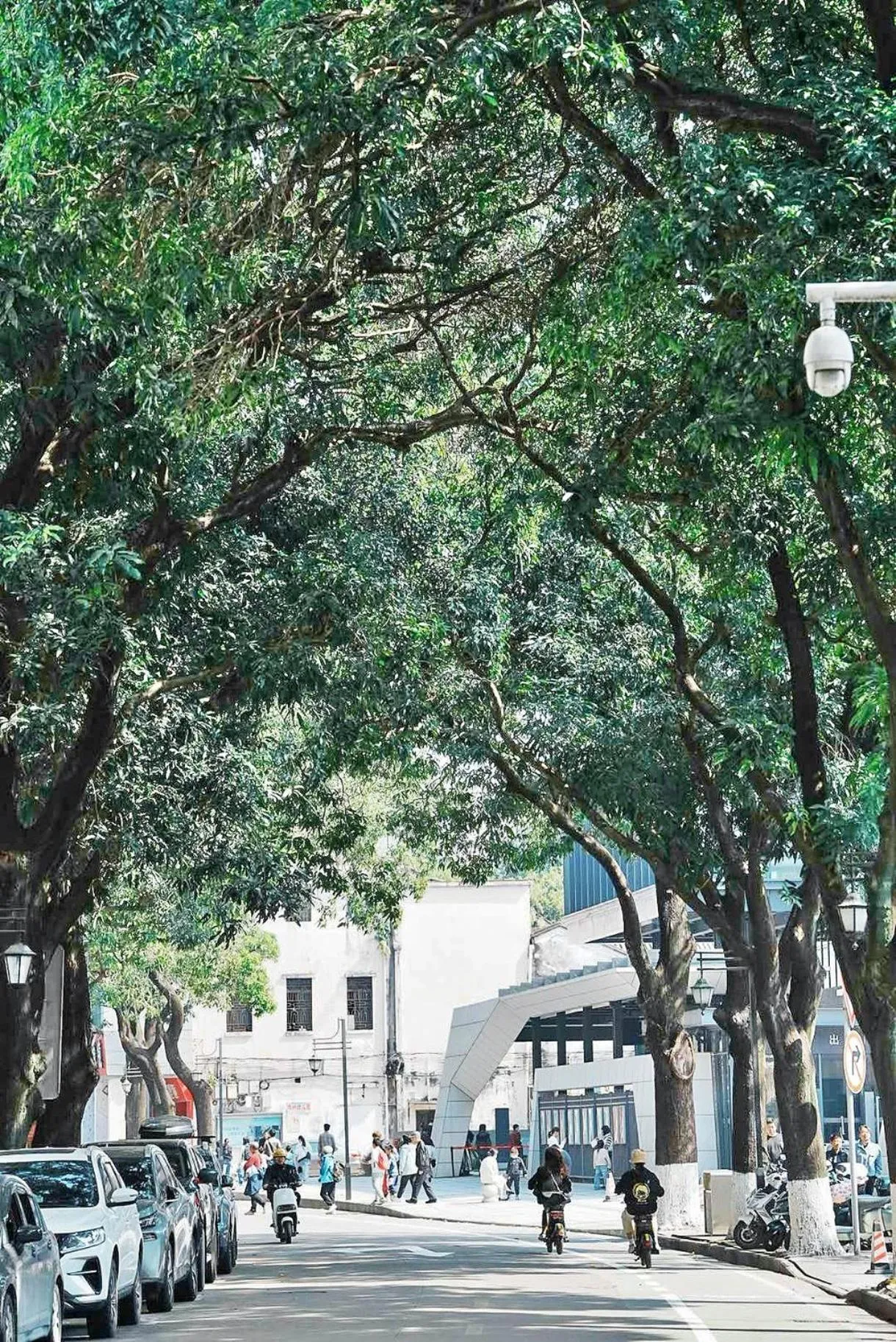 Area and facilities in HUALUXE Zhongshan City Center