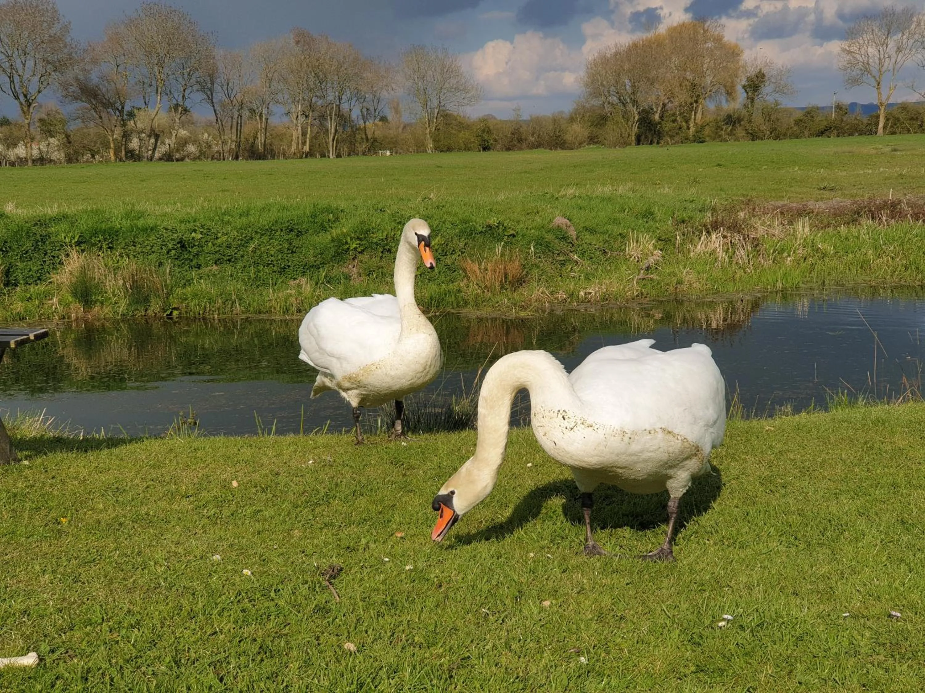 Natural landscape in Burnt House Farm