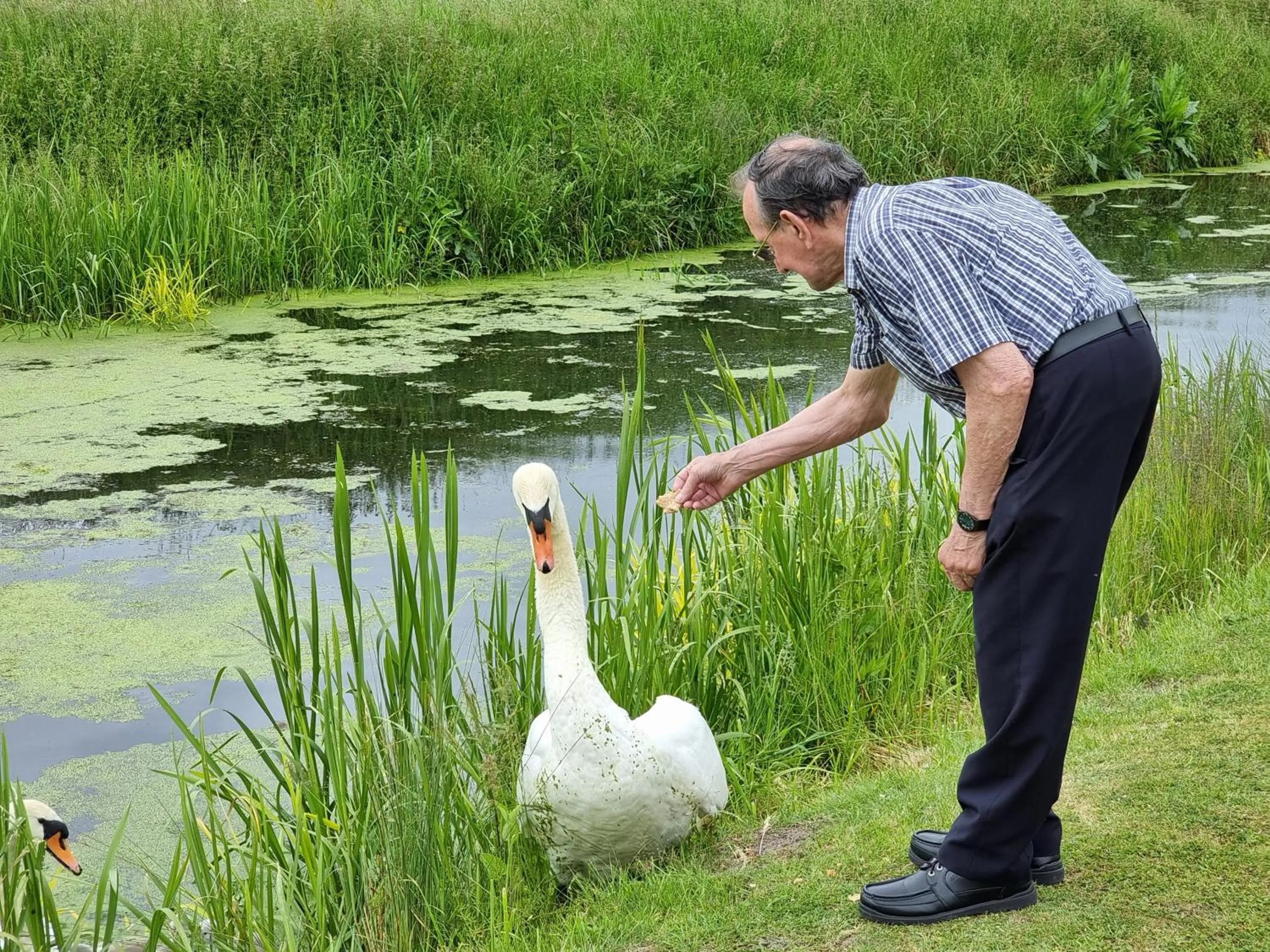 Animals in Burnt House Farm