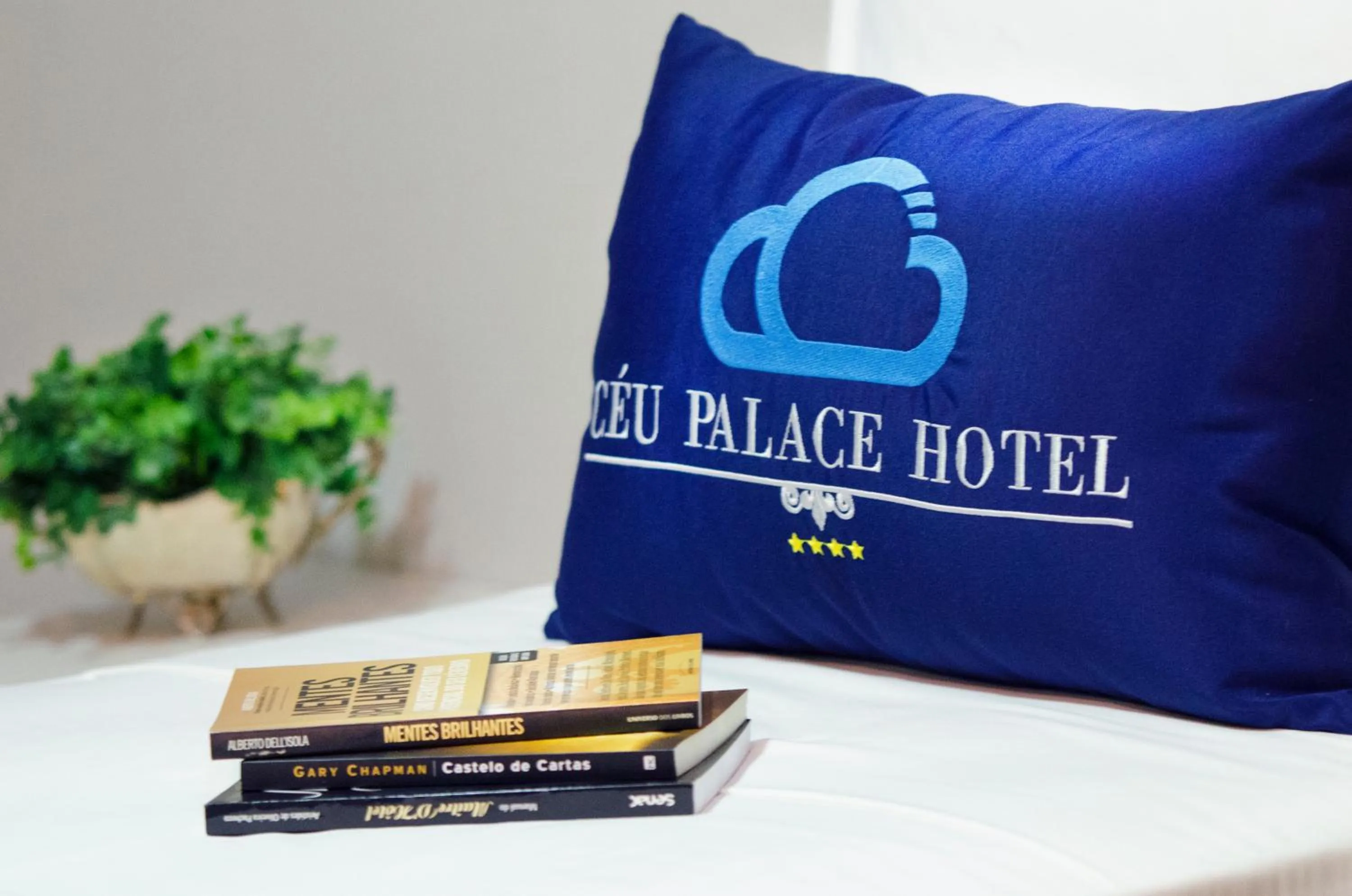 Double Room in Céu Palmas Hotel