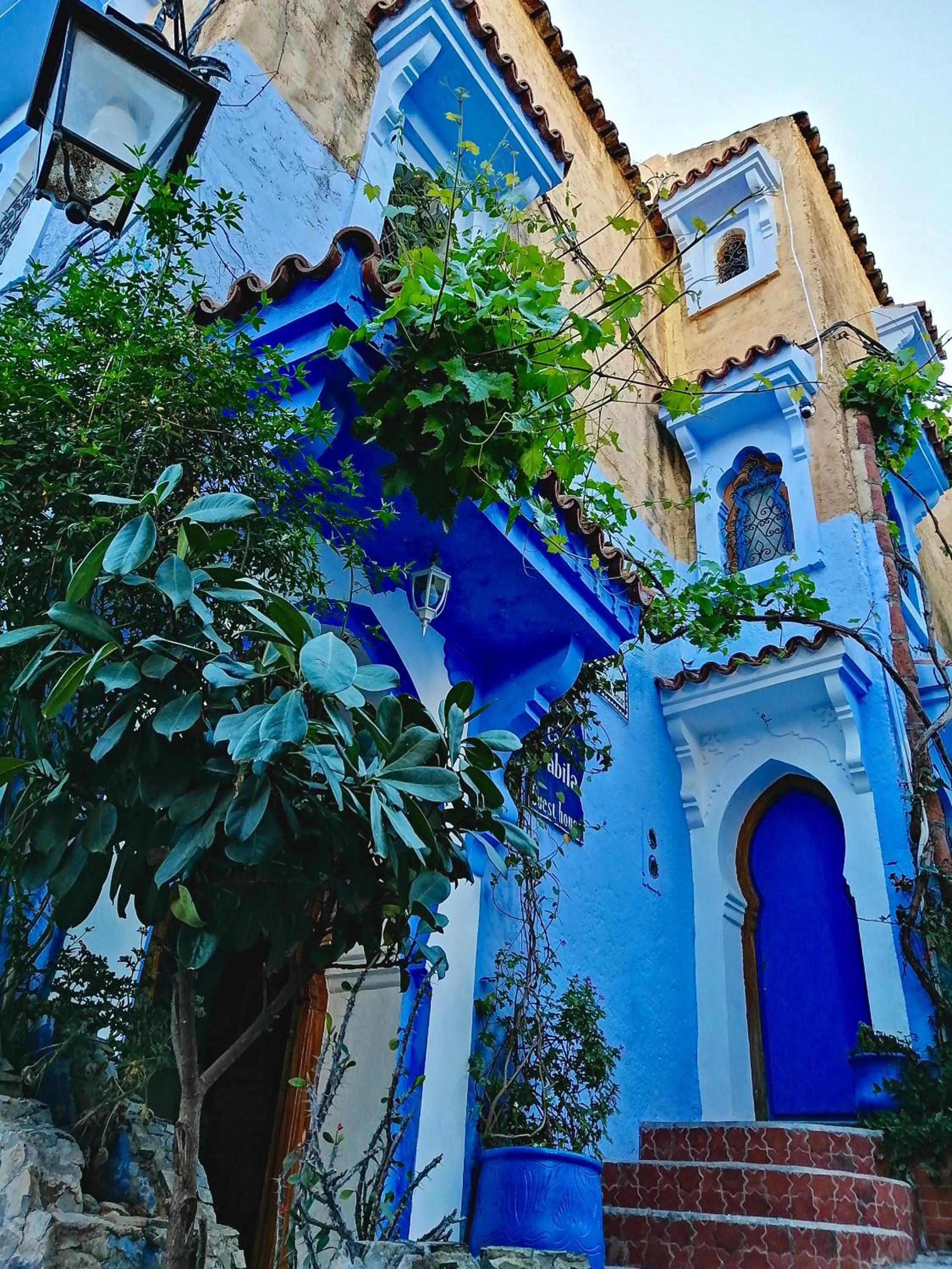 Property building in Casa Sabila