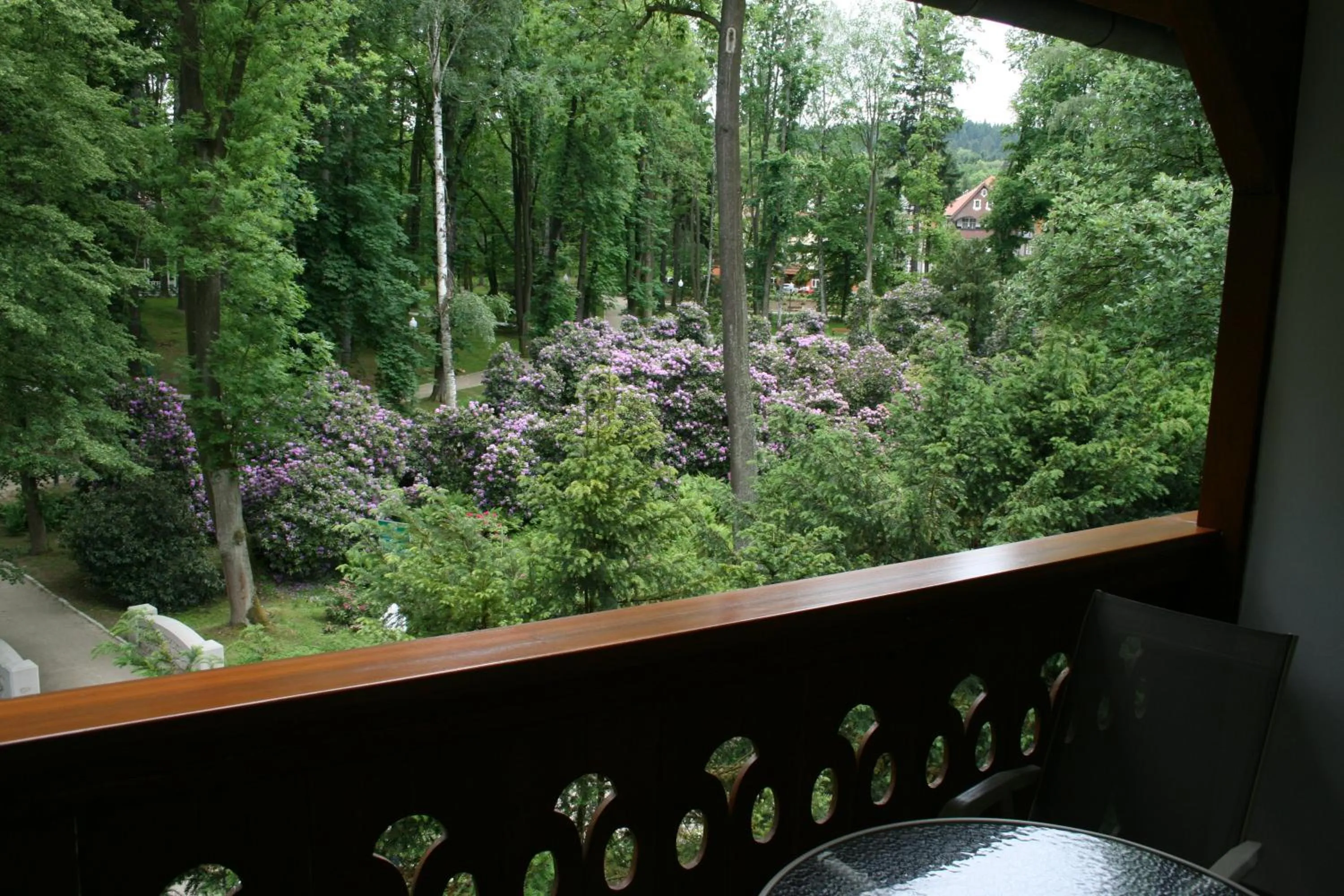 View (from property/room) in Willa Zameczek